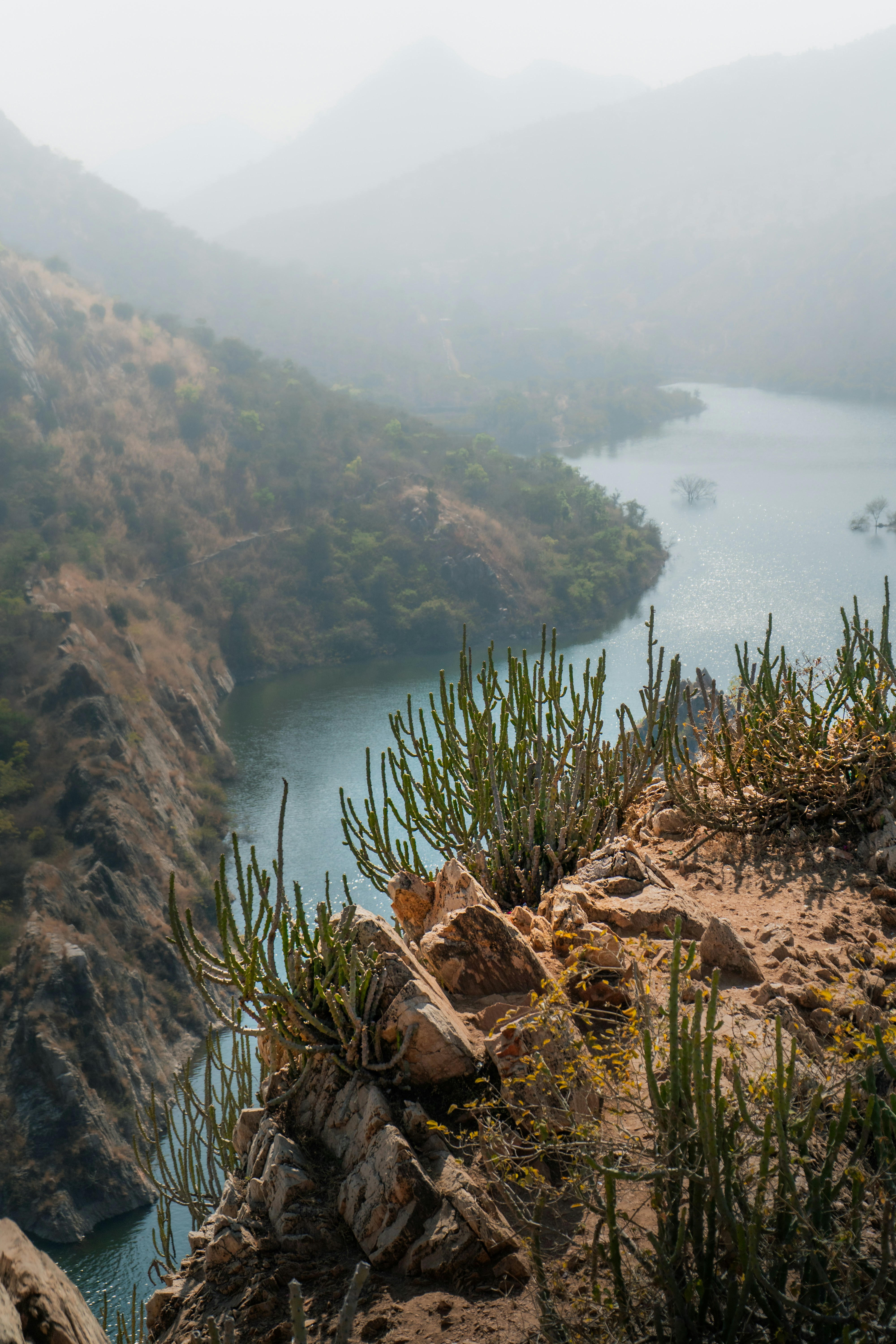 Photo by jayeshjoshi12