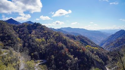 Scenic view 6