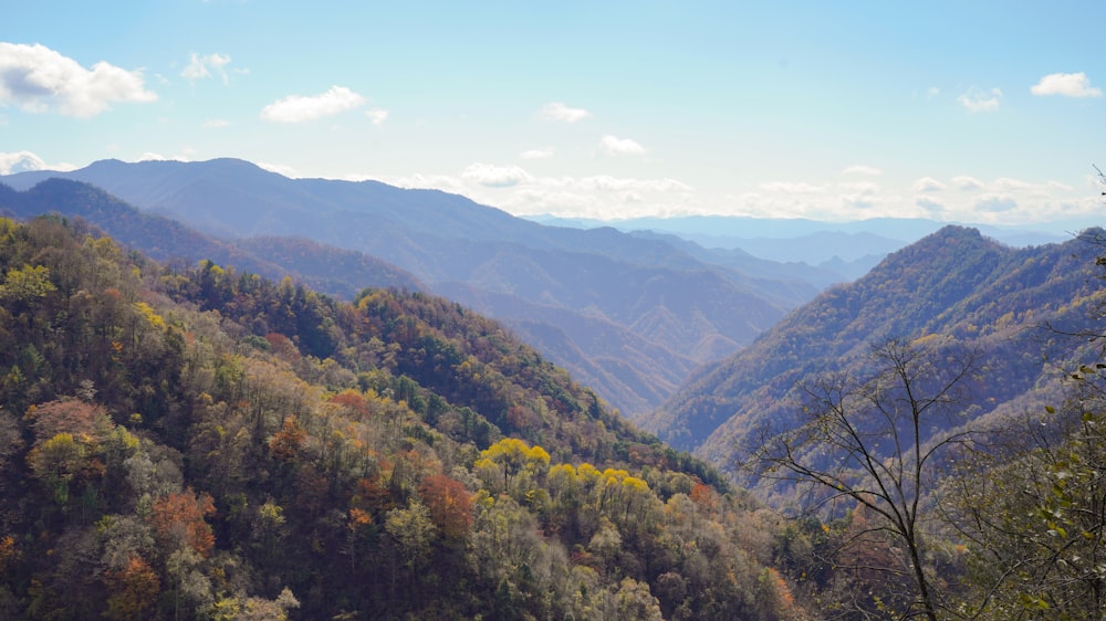 a scenic view of a mountain range with trees in the foreground