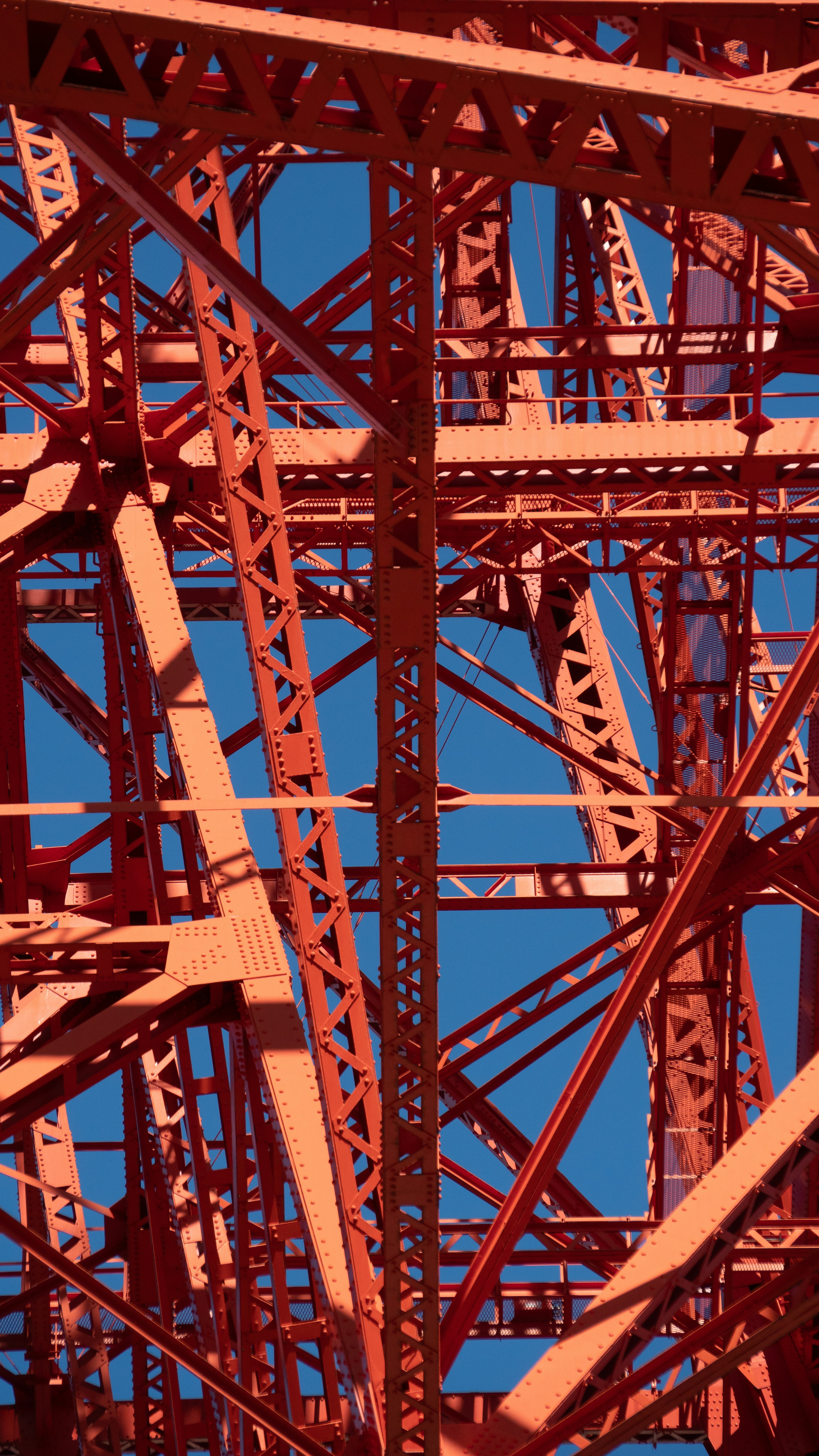 Photo by digital_m_art_in