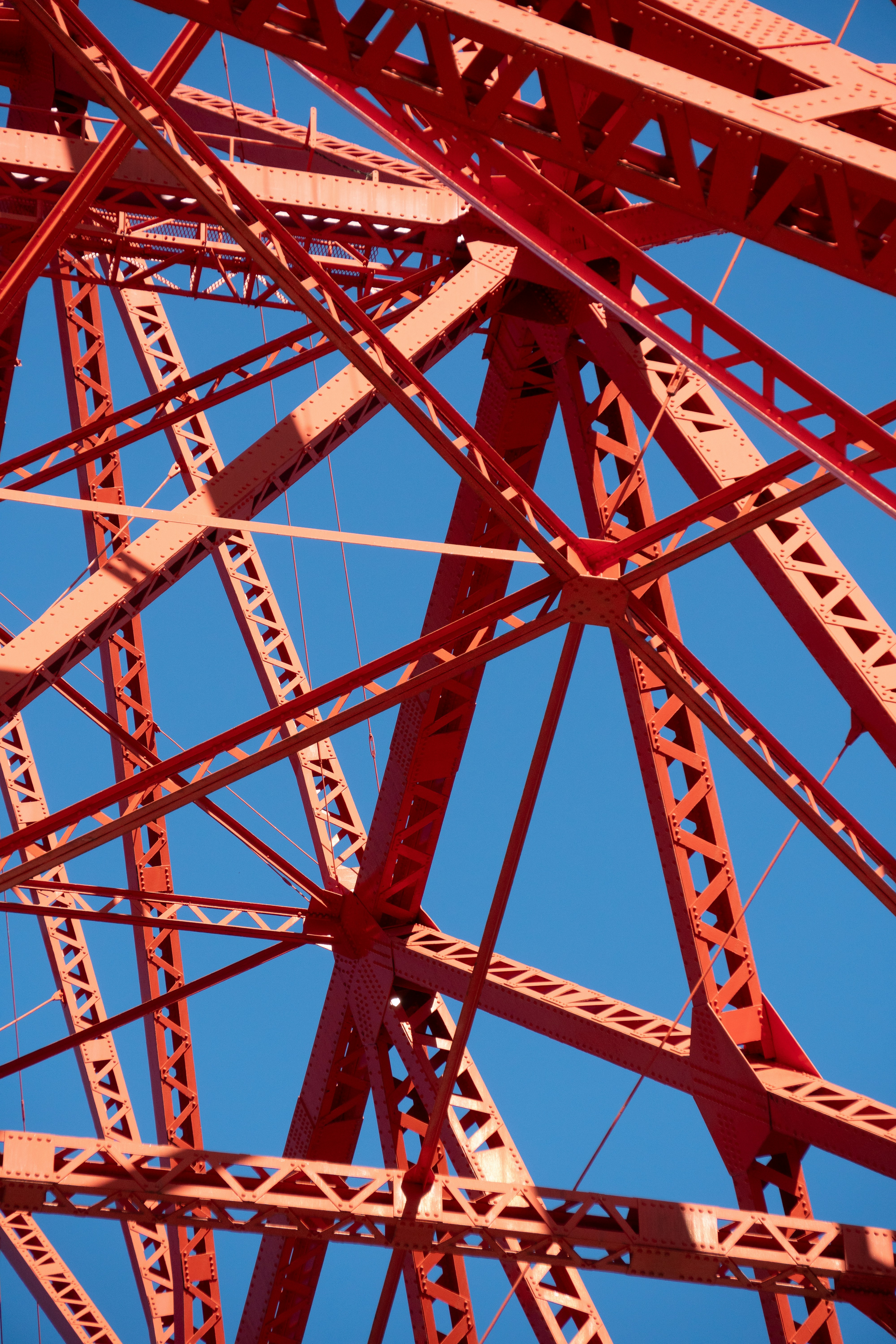 Photo by digital_m_art_in