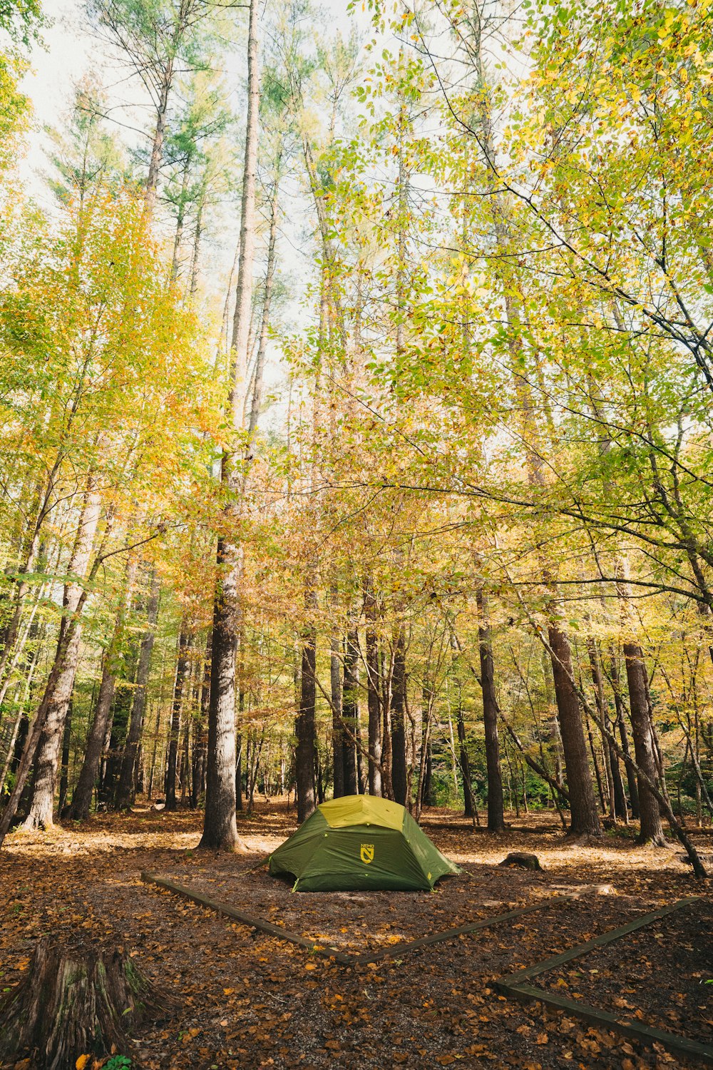 a tent pitched up in the middle of a forest
