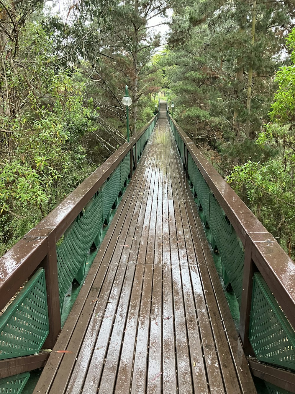 a wooden bridge in the middle of a forest