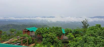 An elegant bioclimatic cabin nestled seamlessly within lush green mountains.