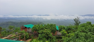 Cozy wooden cabins surrounded by greenery.