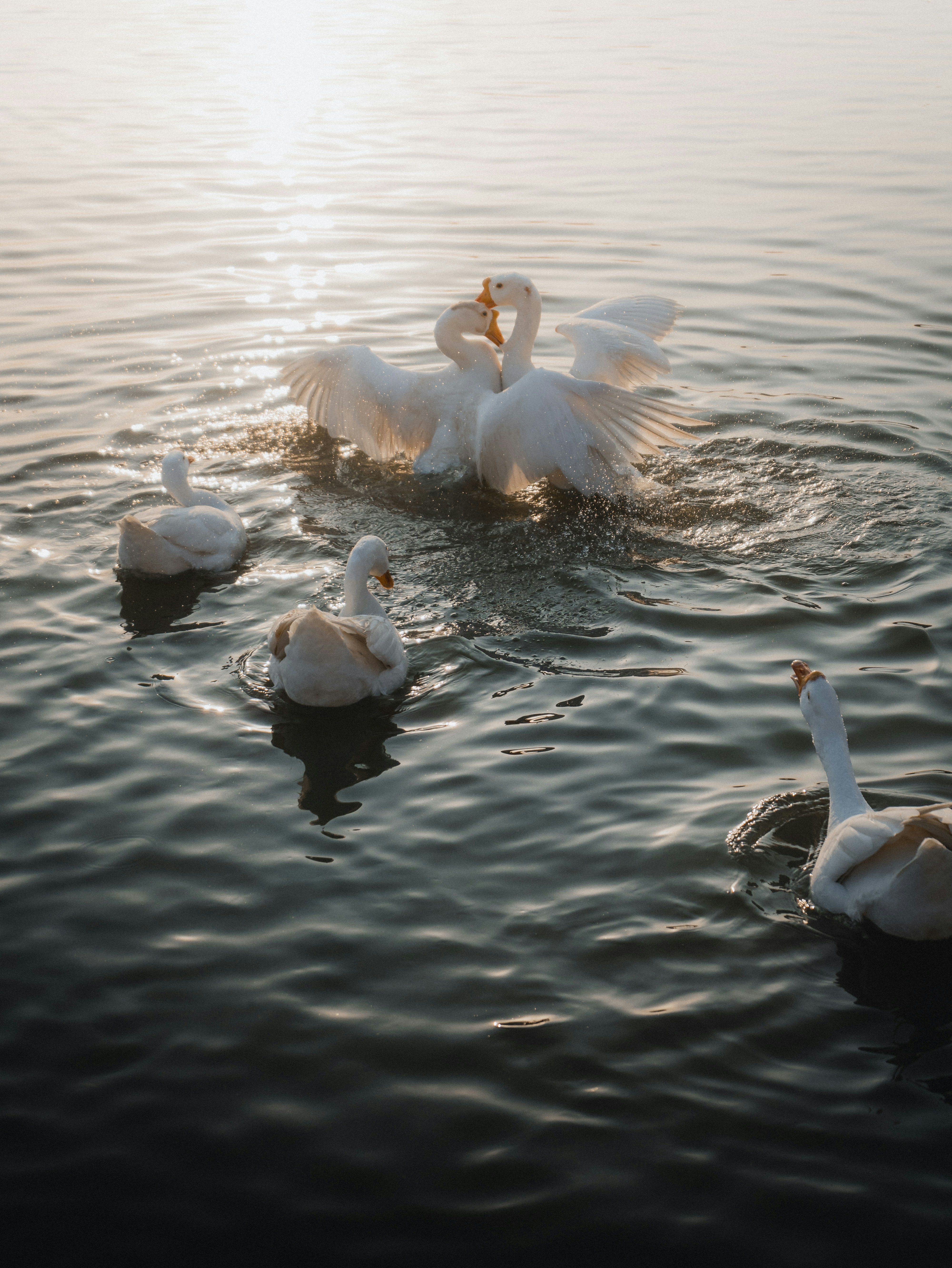 Photo by jayeshjoshi12