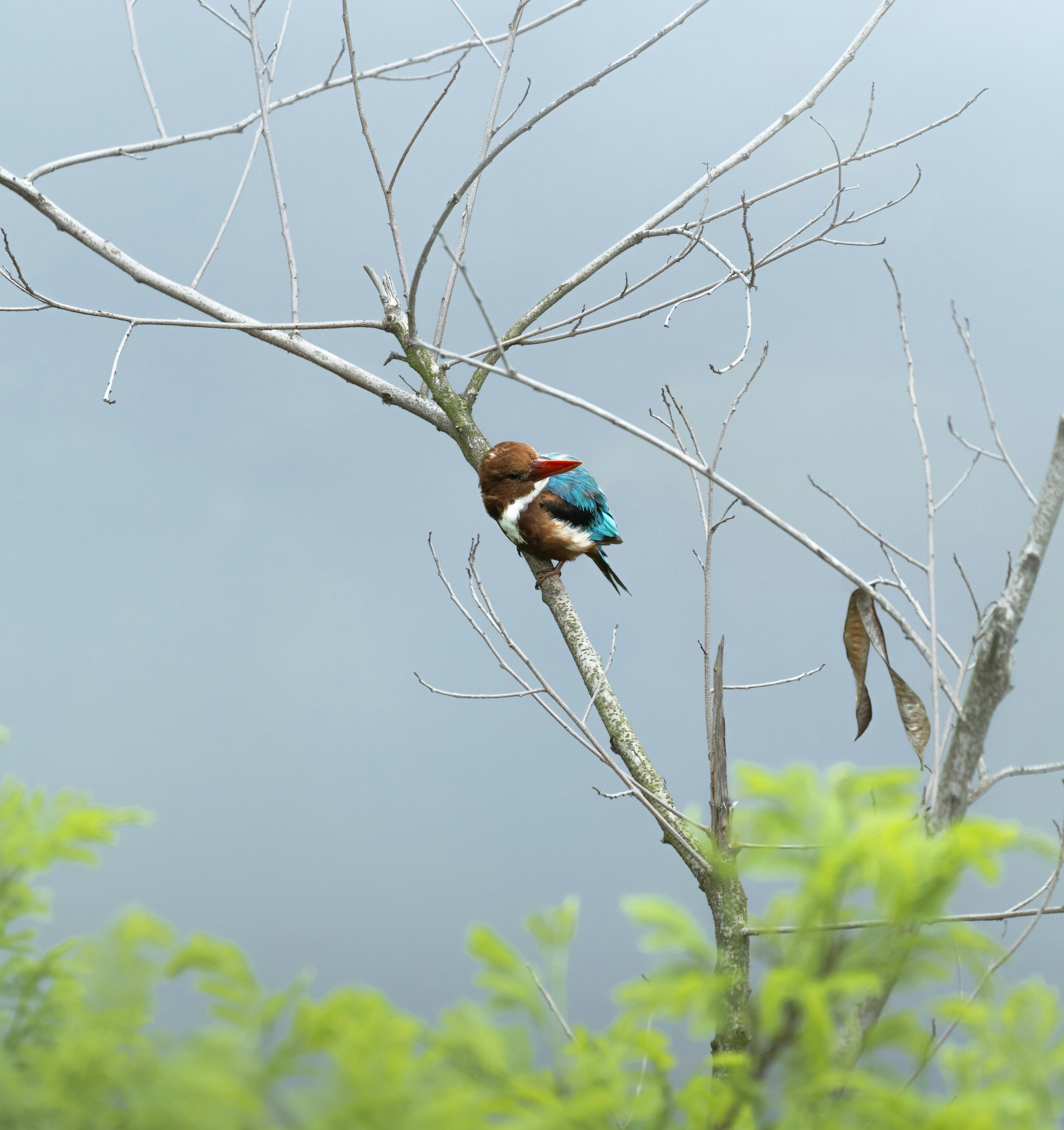 Photo by jayeshjoshi12