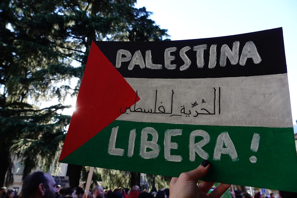 a person holding a sign with a flag on it