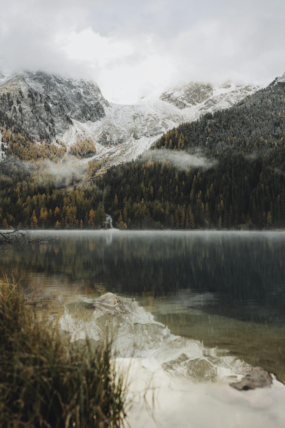 a body of water surrounded by mountains and trees