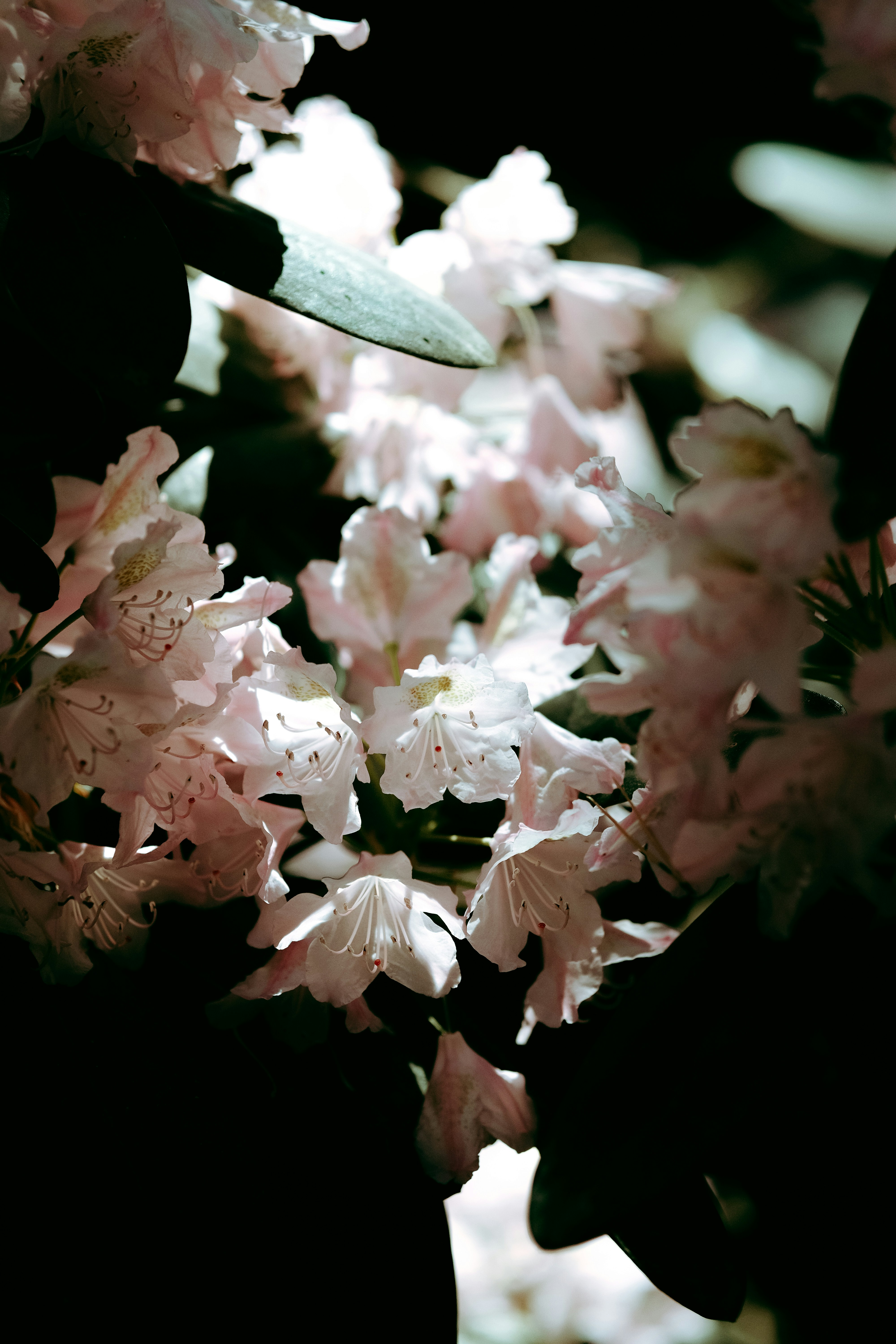 Photo by feodorchistyakov