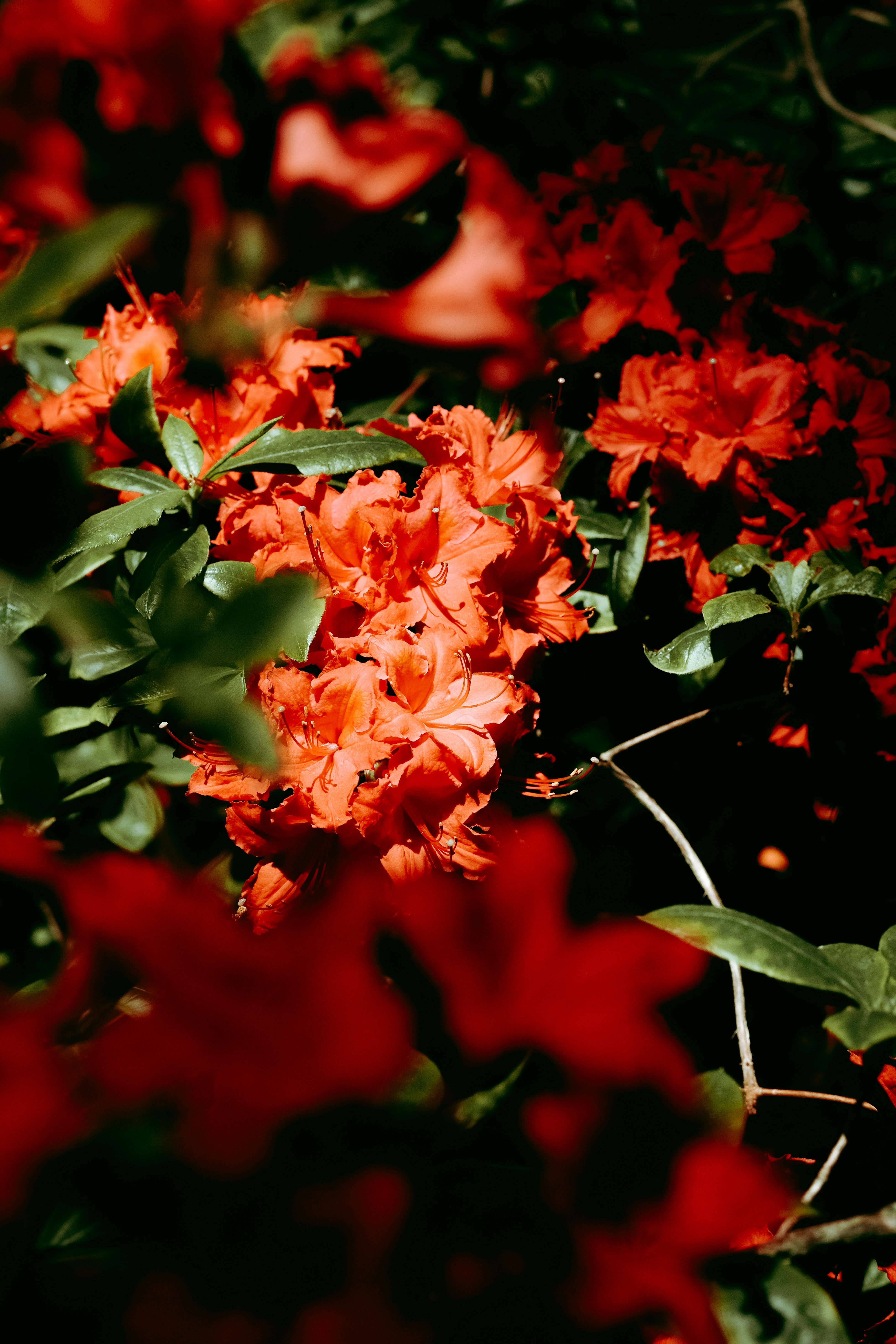 Photo by feodorchistyakov