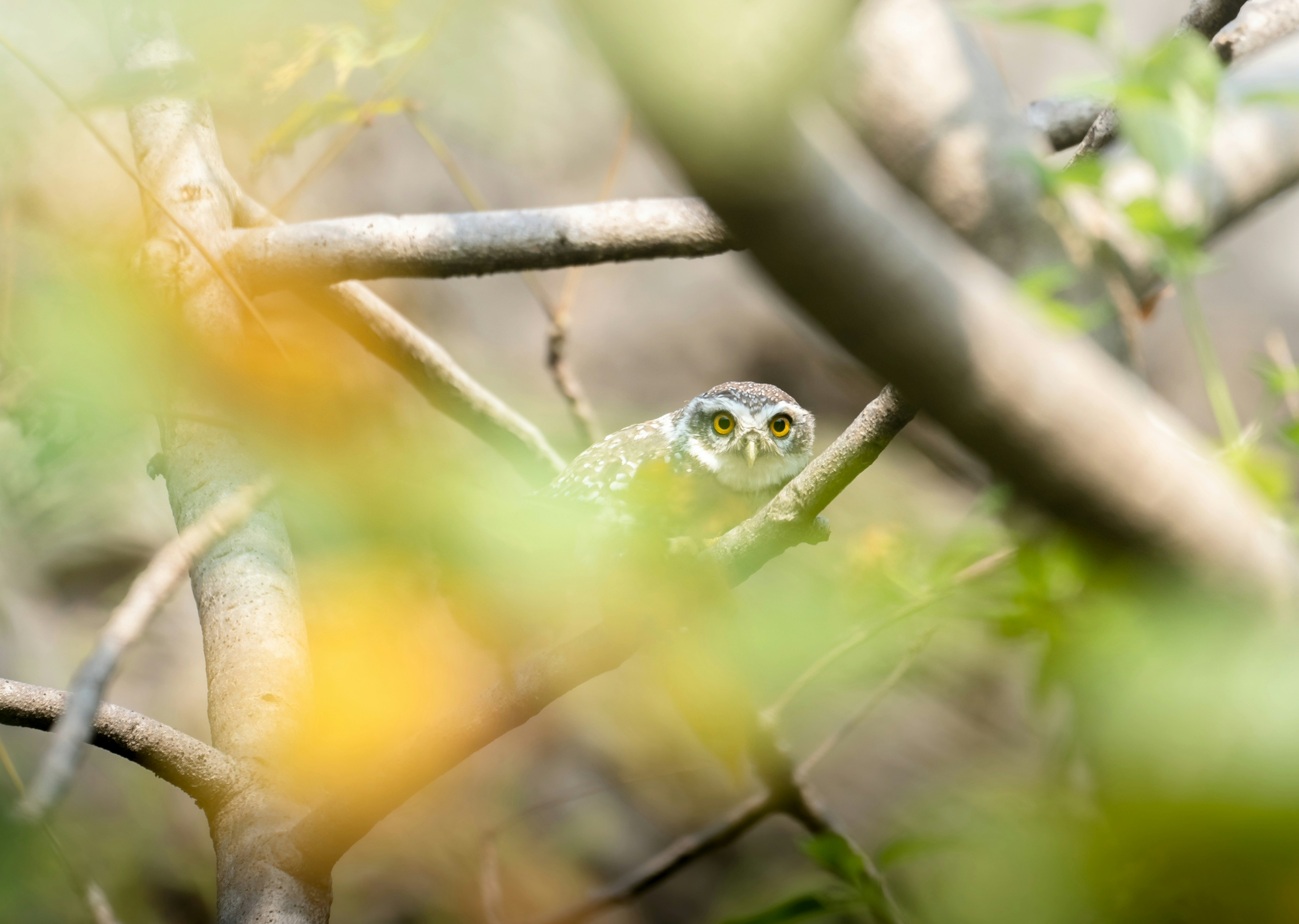 Photo by jayeshjoshi12