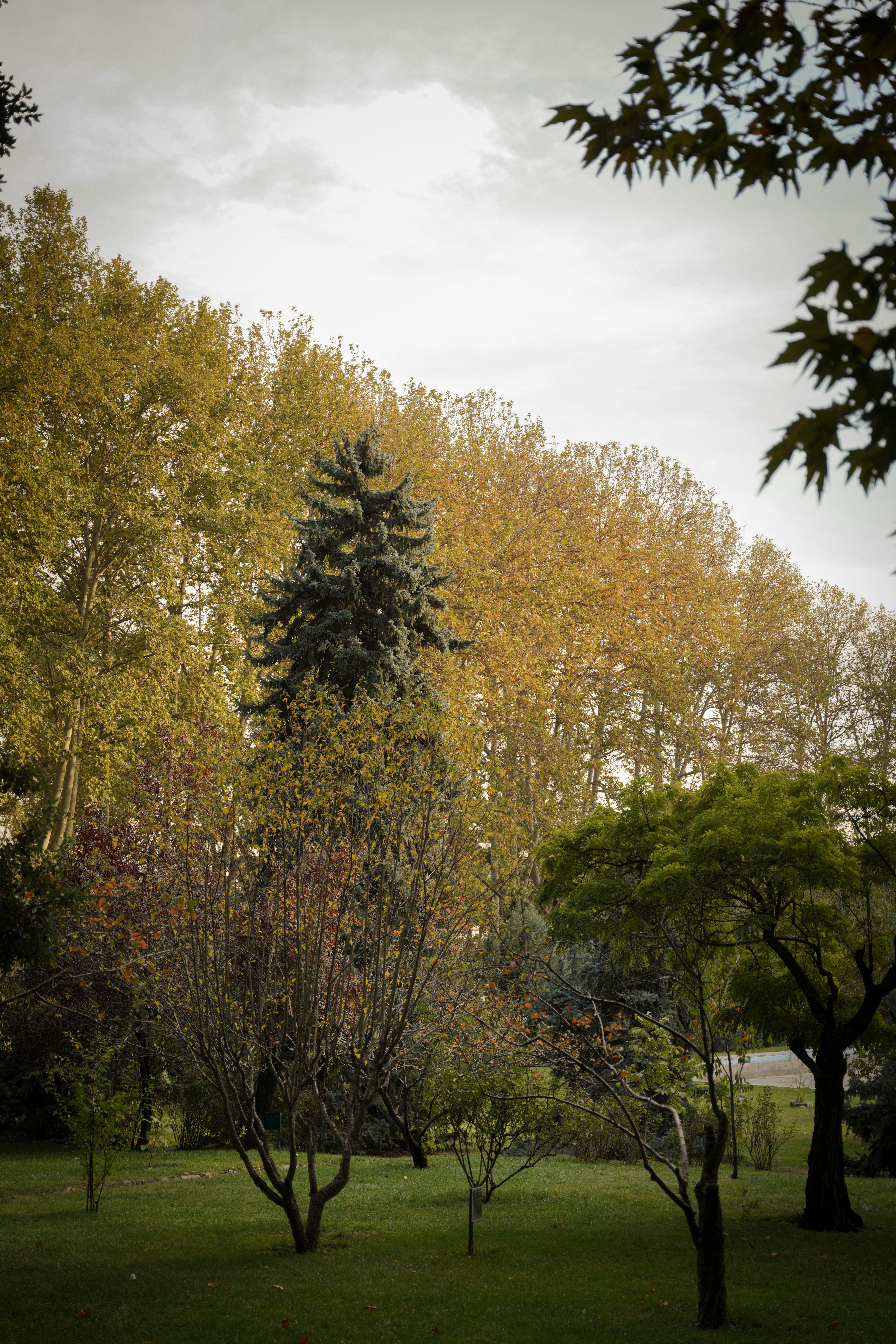 Photo by mahyar_mirghasmi