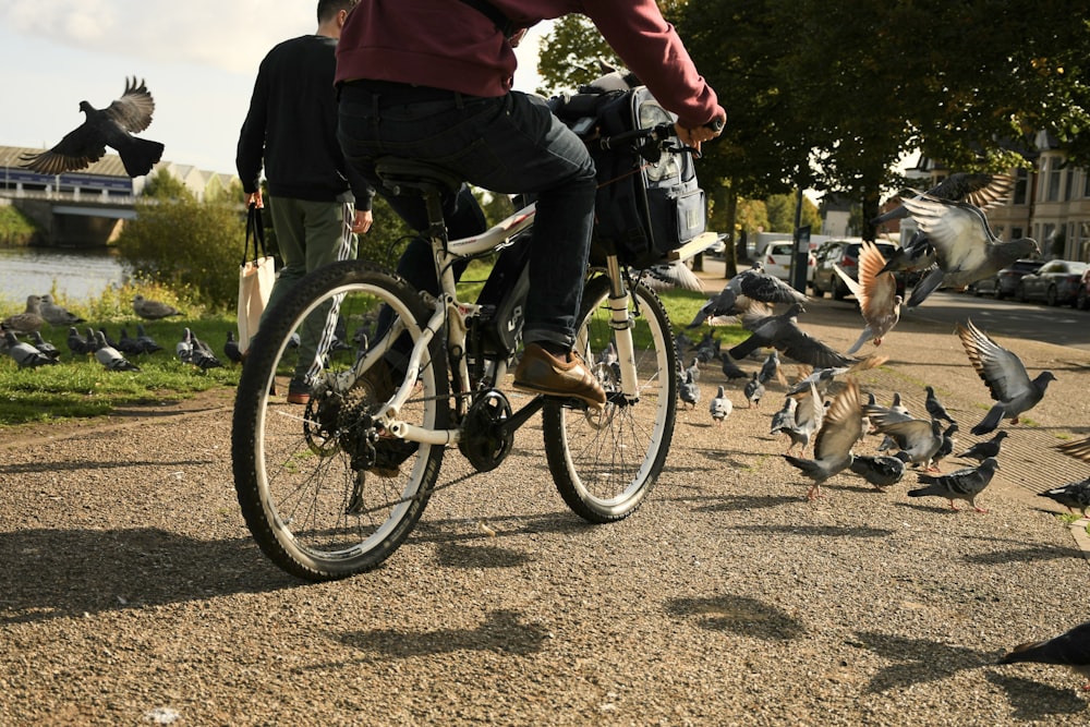 a man riding a bike next to a flock of birds