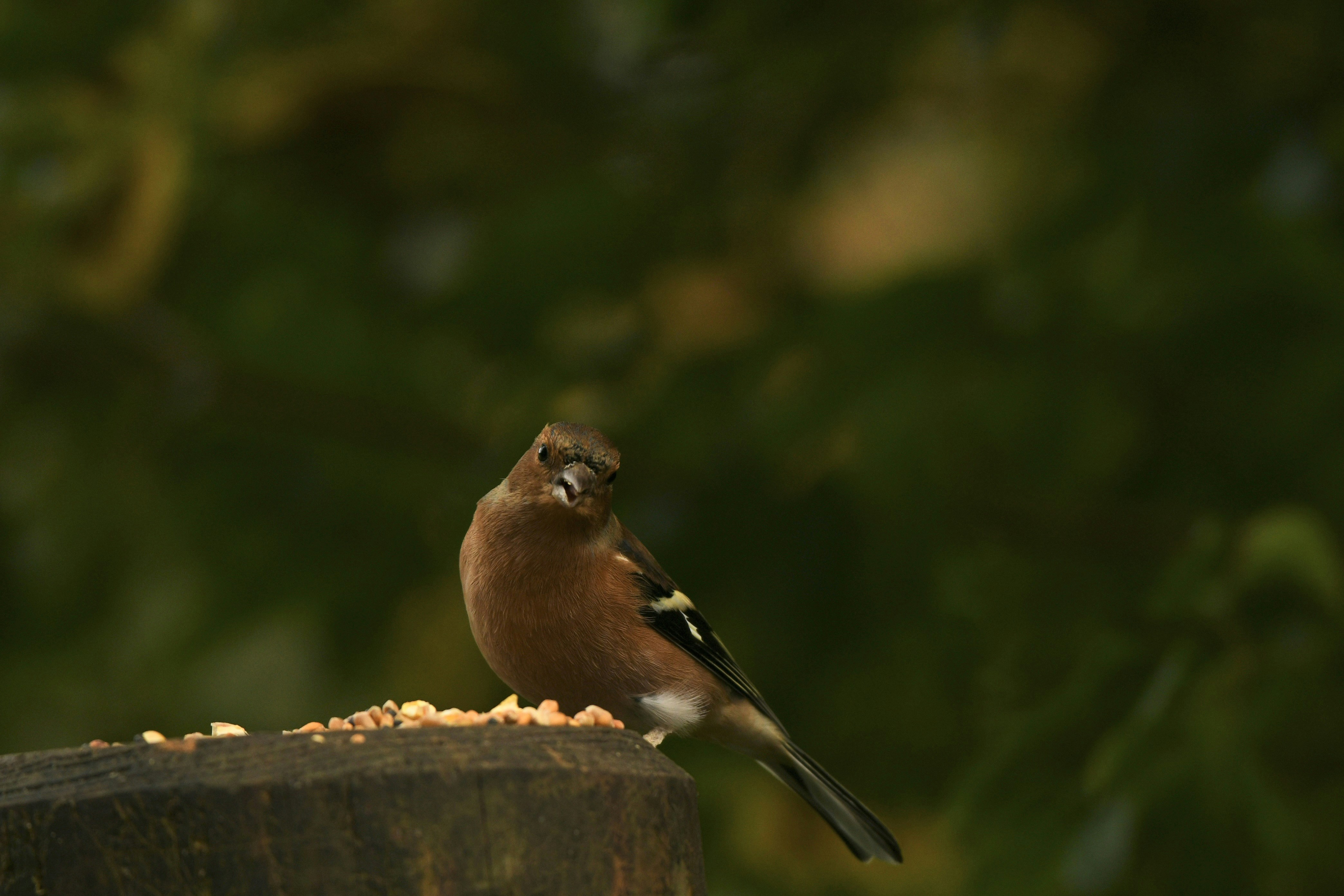 Photo by wrishi2004m