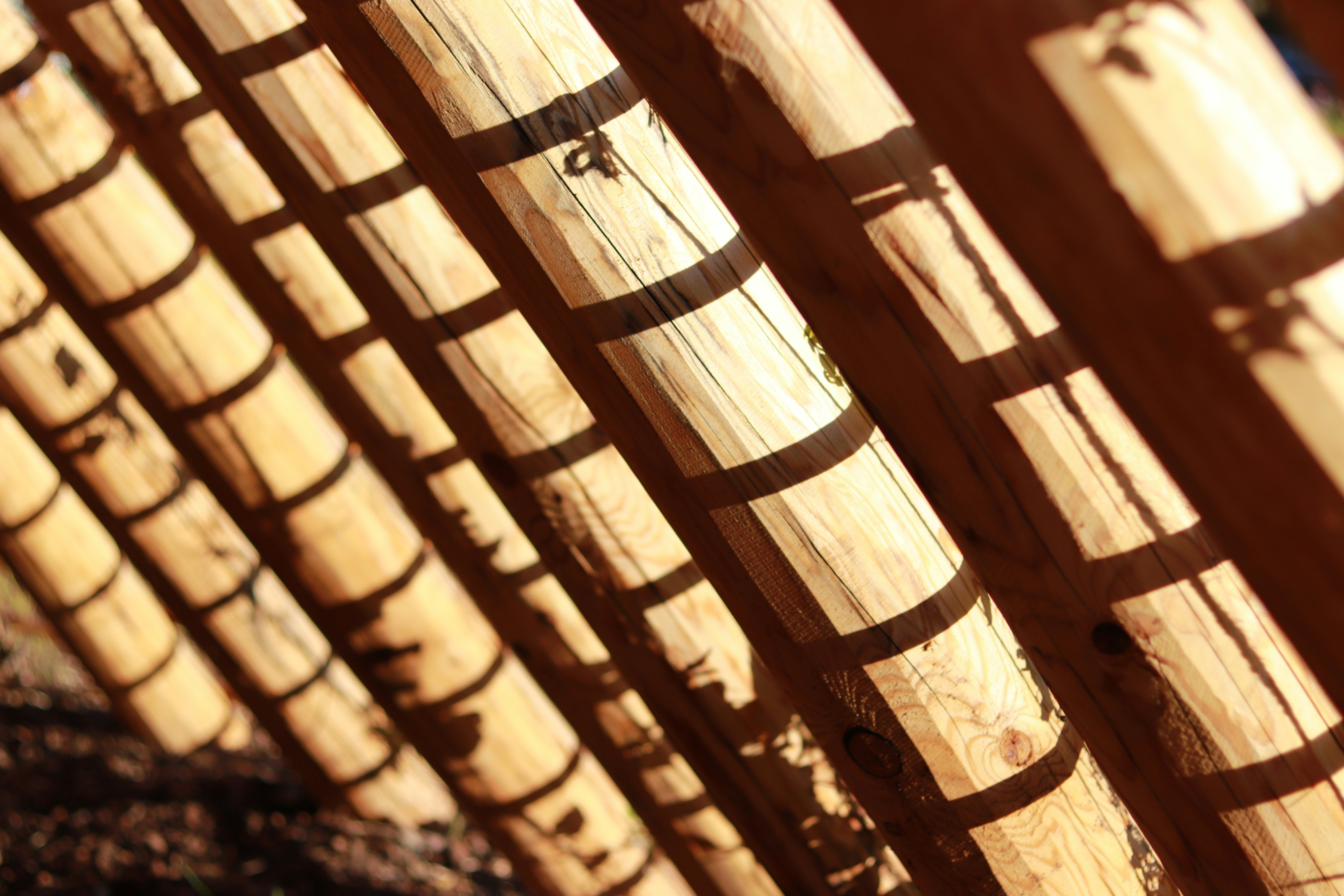 Photo by love4ladybug_pic