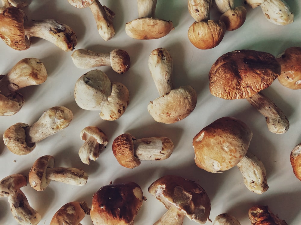 a table topped with lots of different types of mushrooms