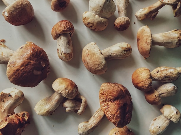 Several brown mushrooms with textured caps and thick stems are scattered across a light surface, displaying a rustic, natural appearance.