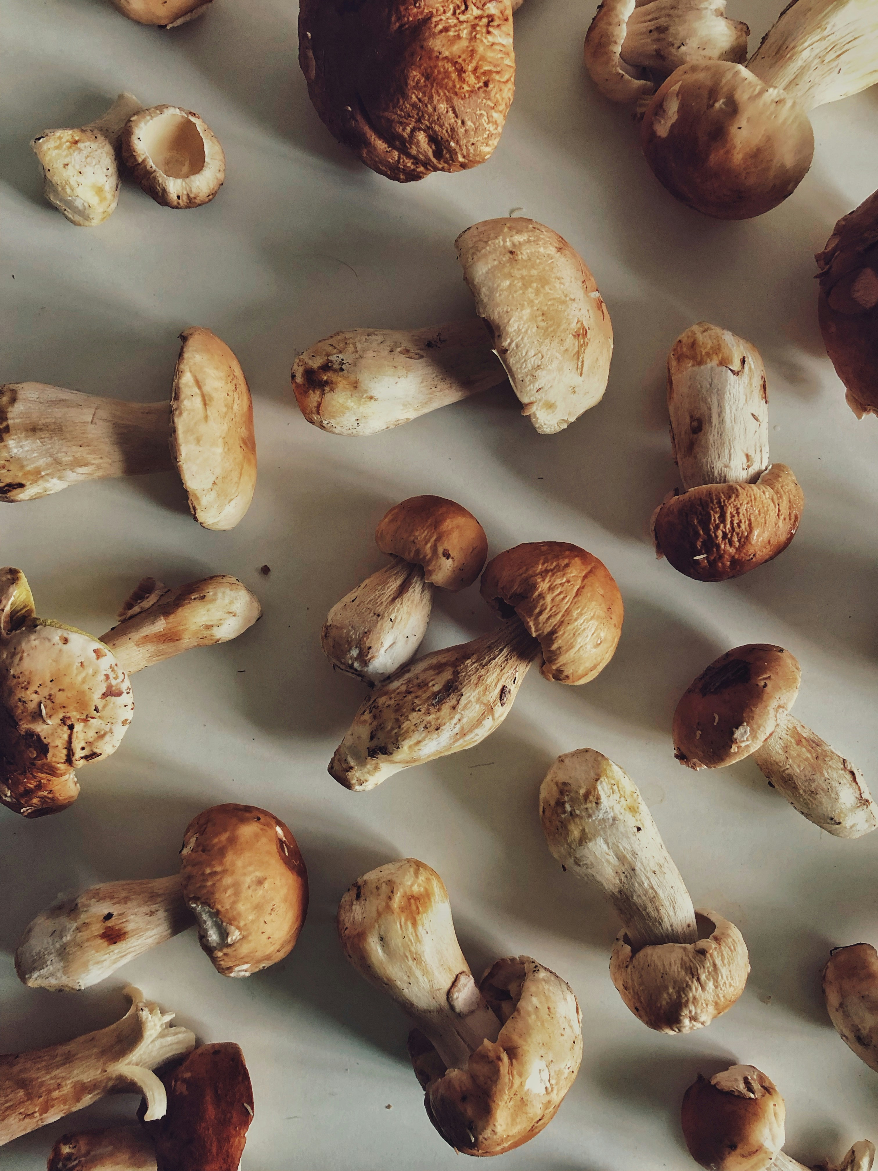 a table topped with lots of different types of mushrooms