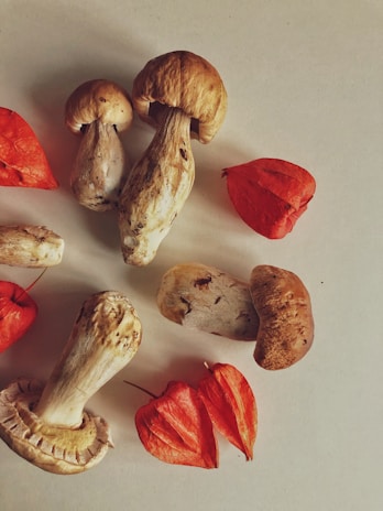 Several mushrooms and orange-red physalis (Chinese lantern) flowers are placed on a light surface. The mushrooms have a natural, rustic look with brown tops and white stems, while the physalis flowers add a bright splash of color.