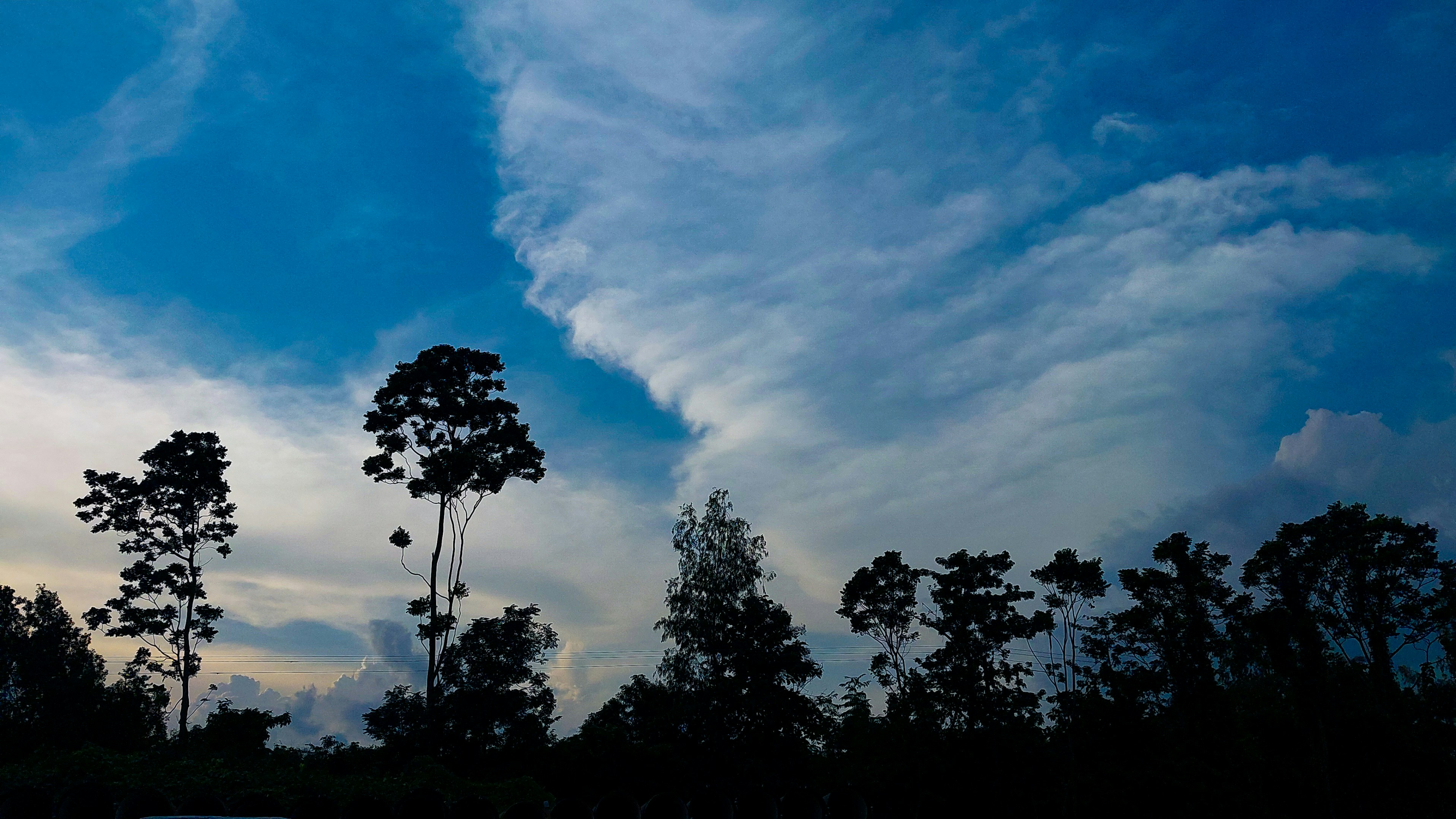 a blue sky with some clouds and some trees