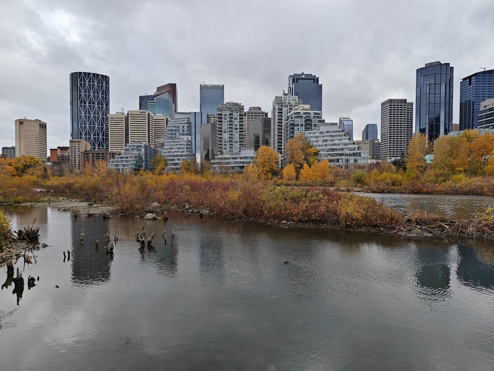 a body of water surrounded by tall buildings