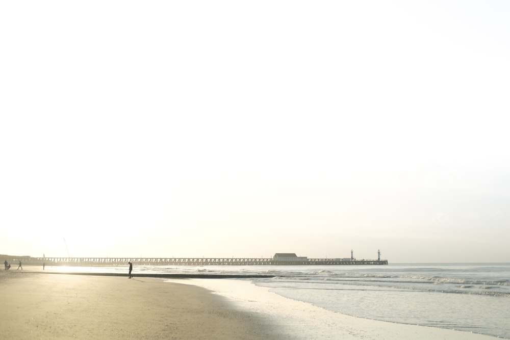 a person standing on a beach next to the ocean