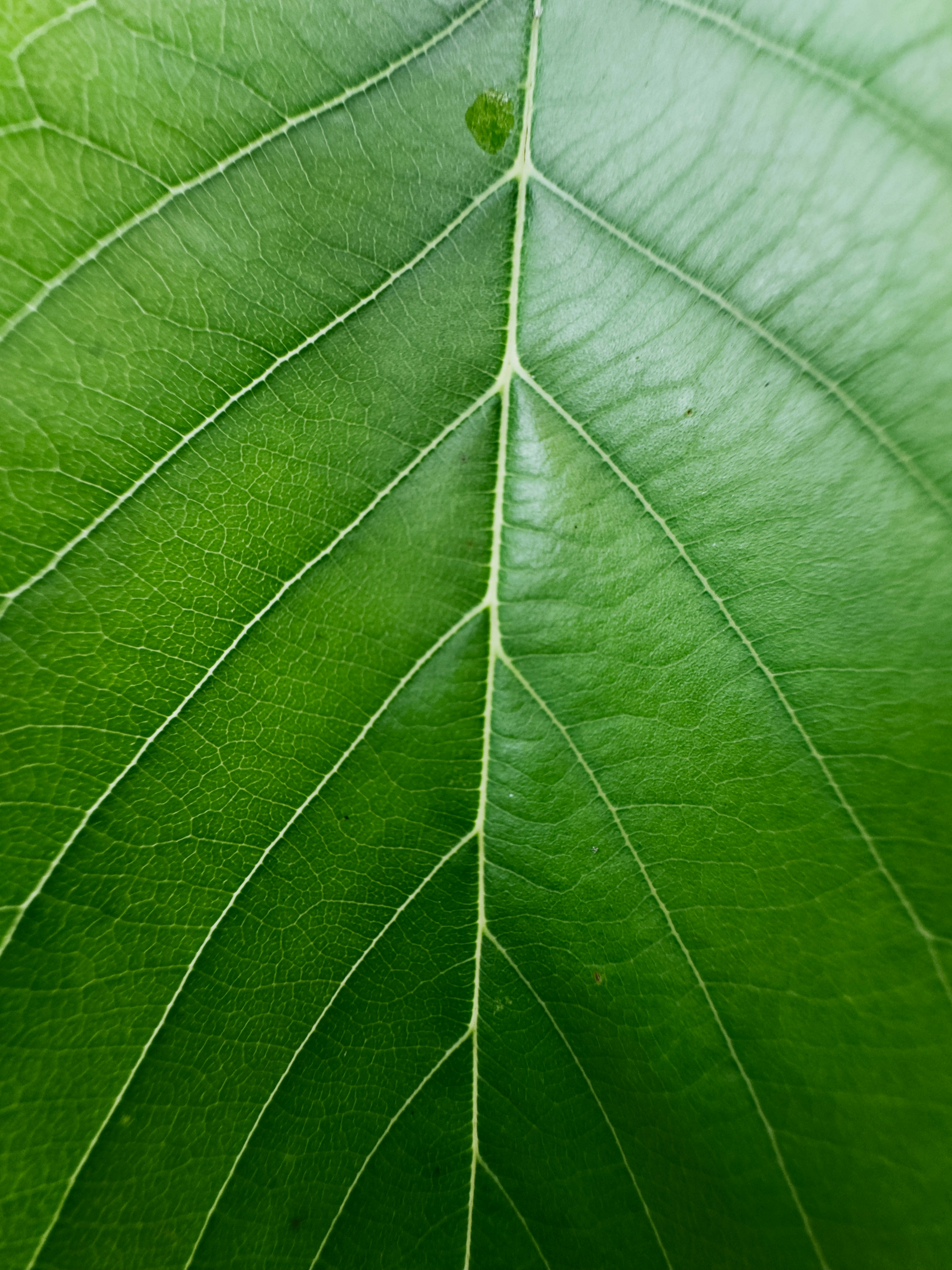 Photo by daniil1lebedev23