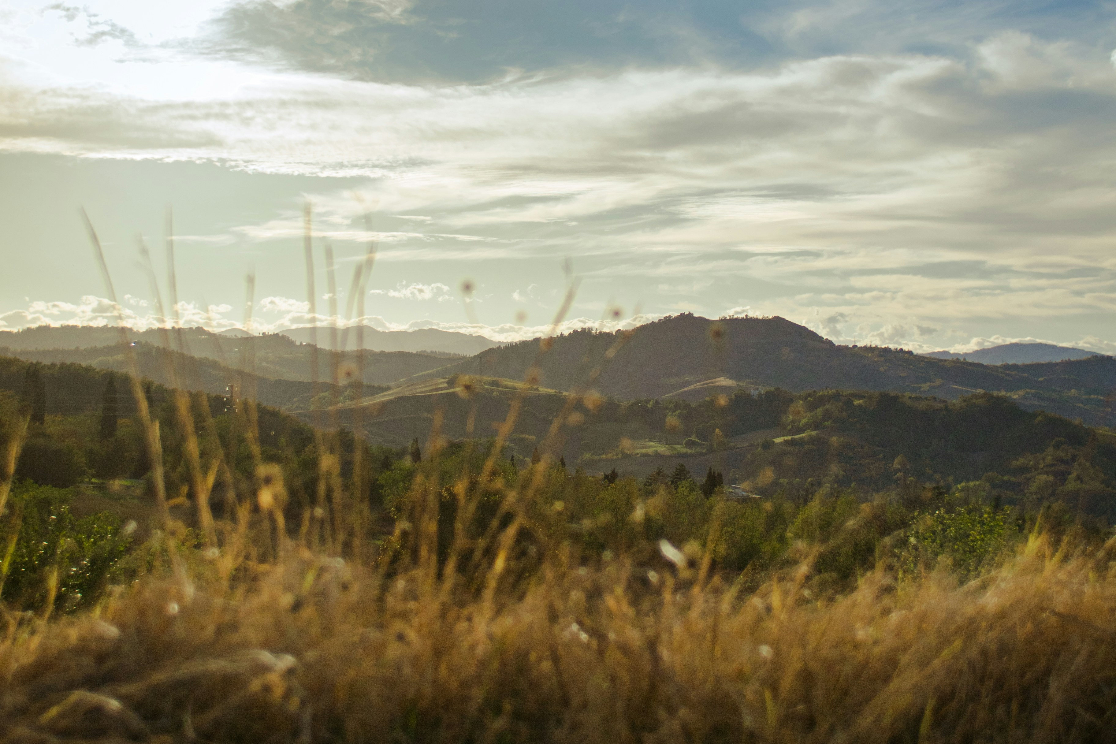 Photo by mattia_poli_04