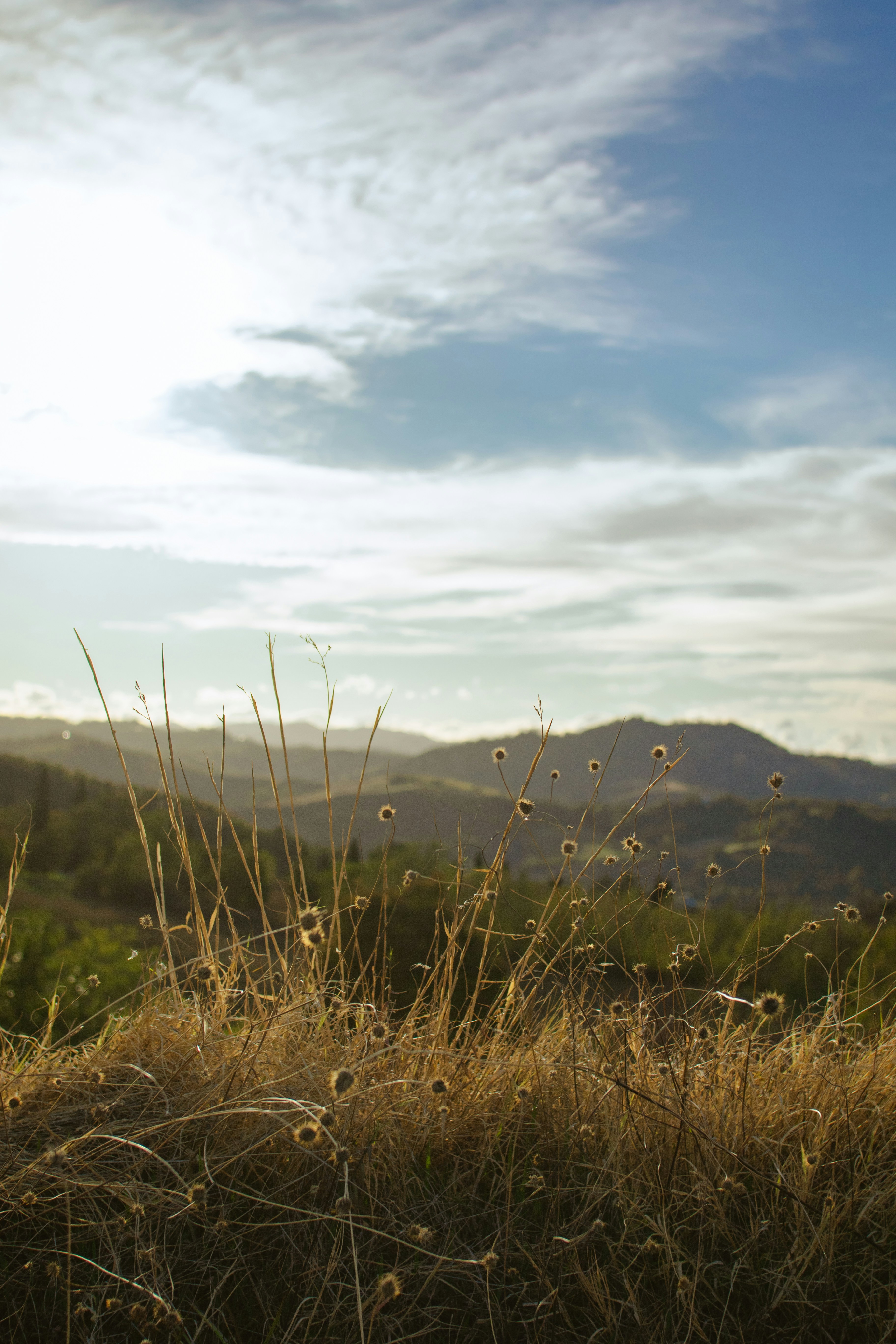 Photo by mattia_poli_04