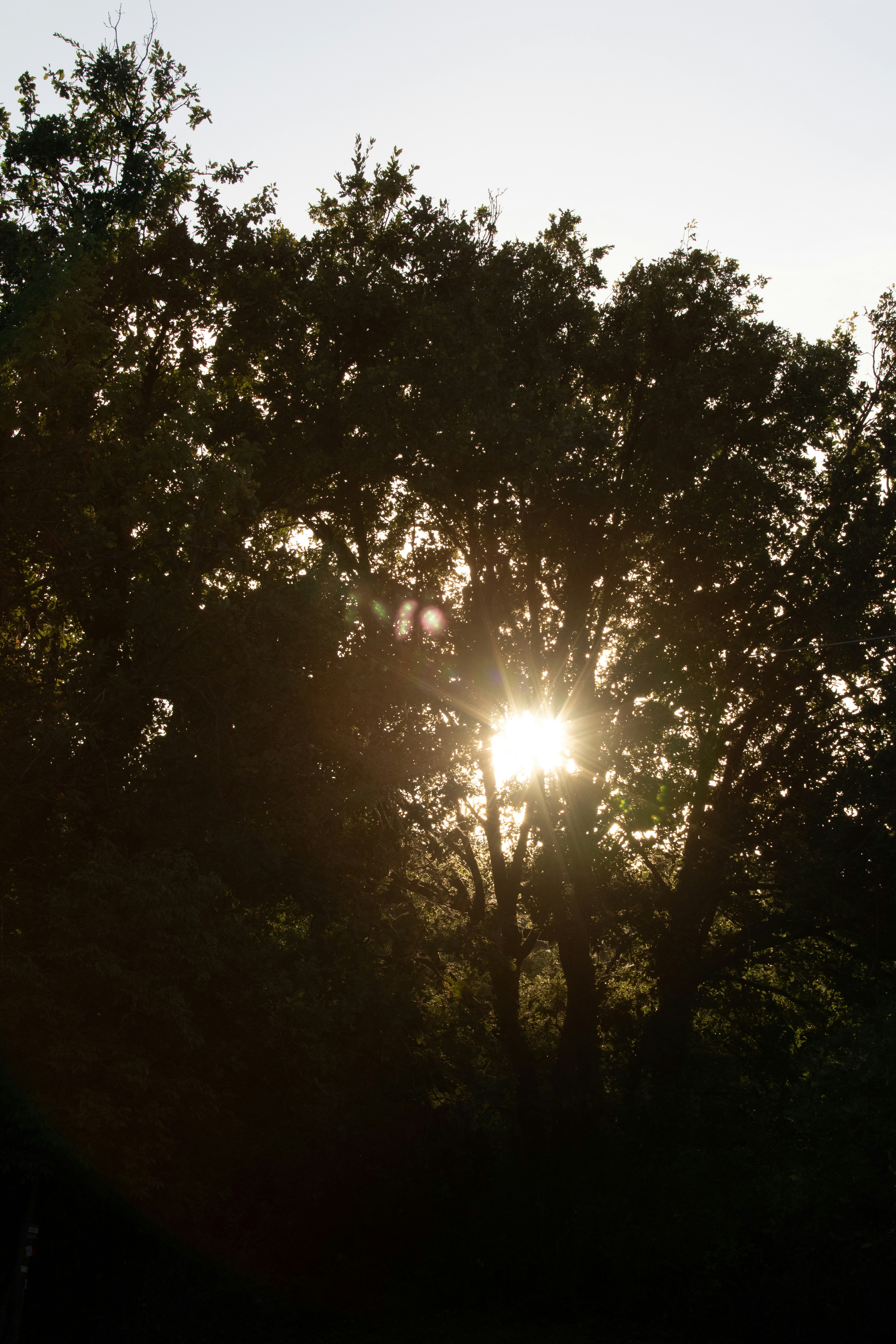 Photo by mattia_poli_04