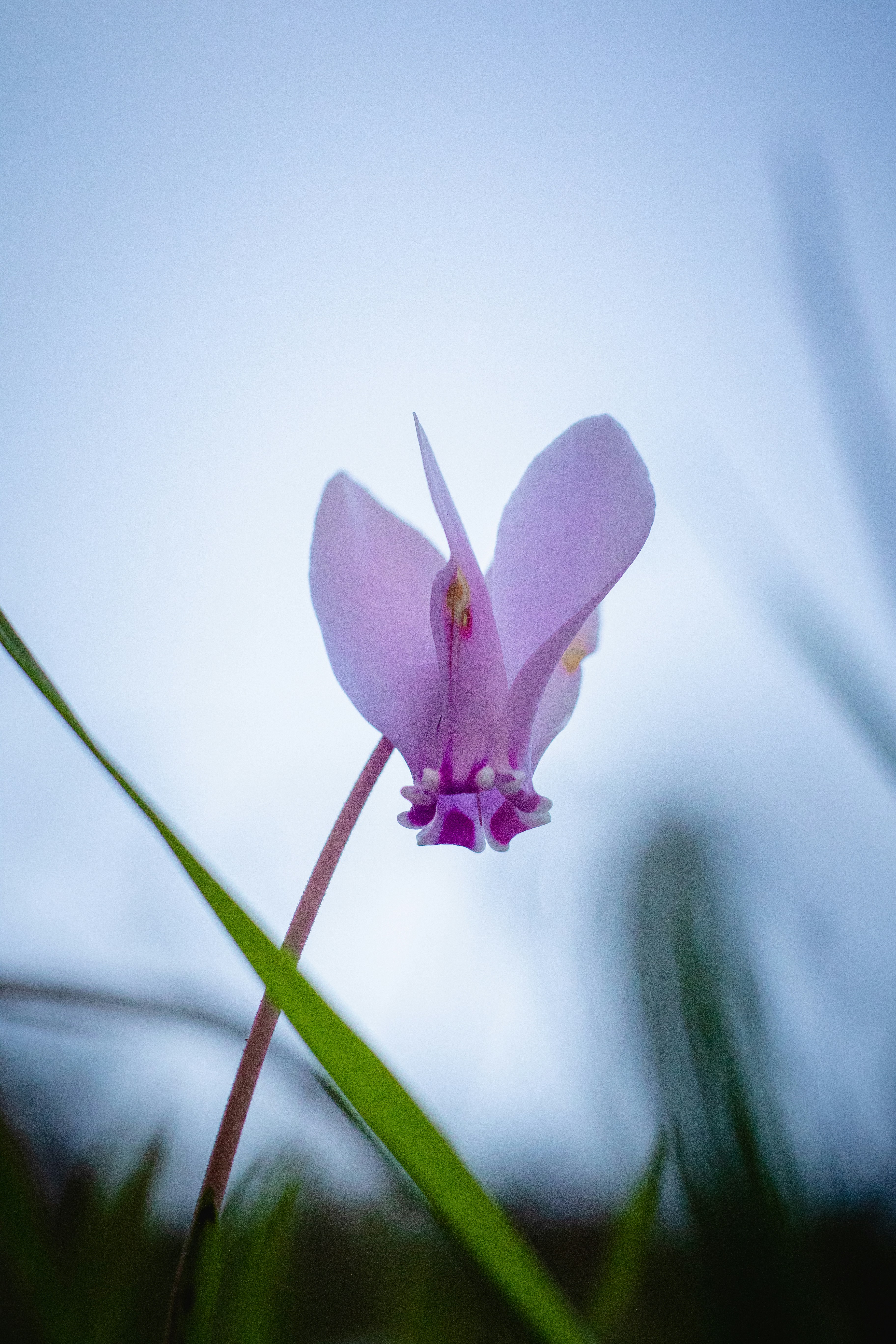 Photo by mattia_poli_04