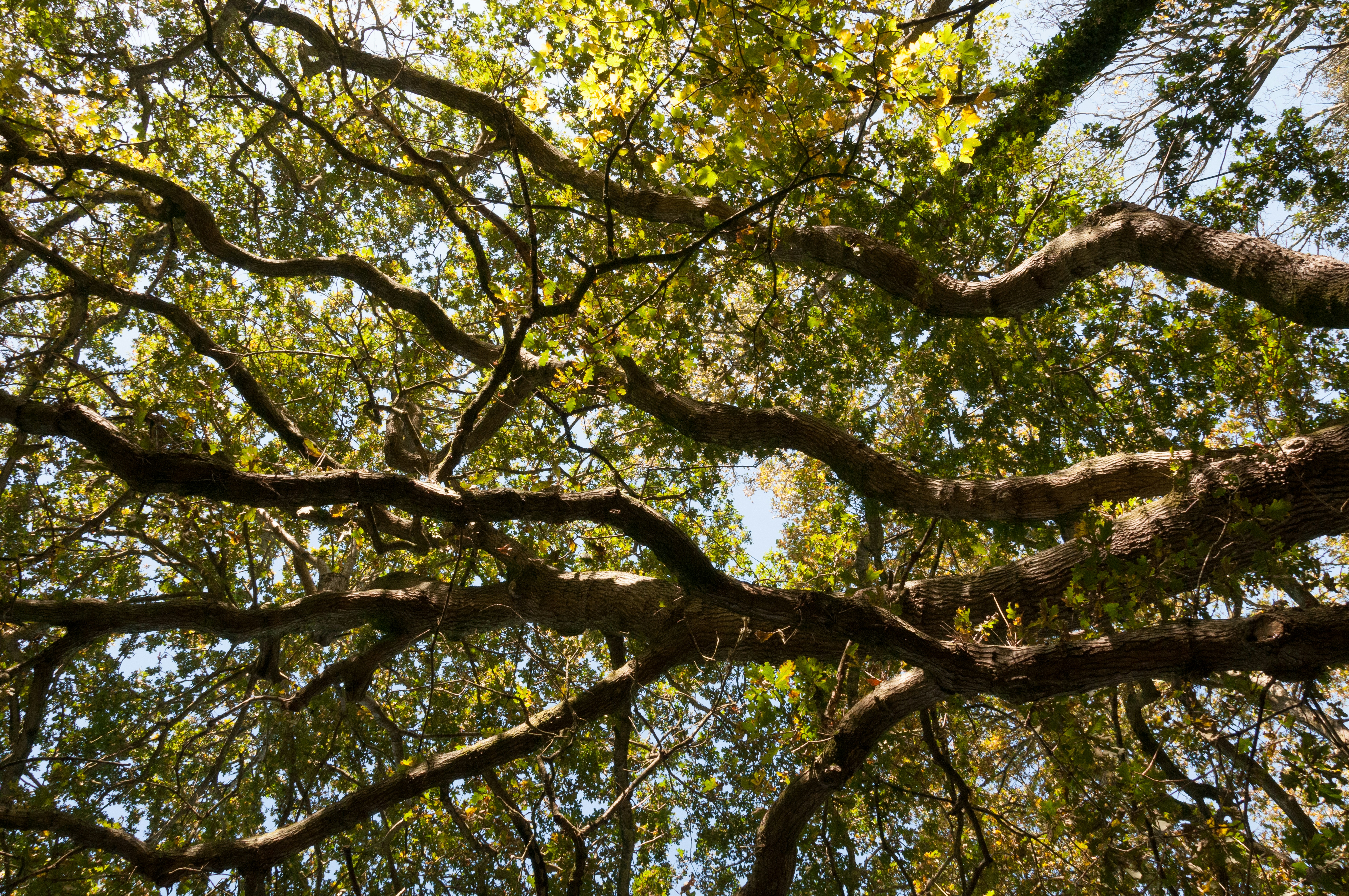 Photo by jersey_photos