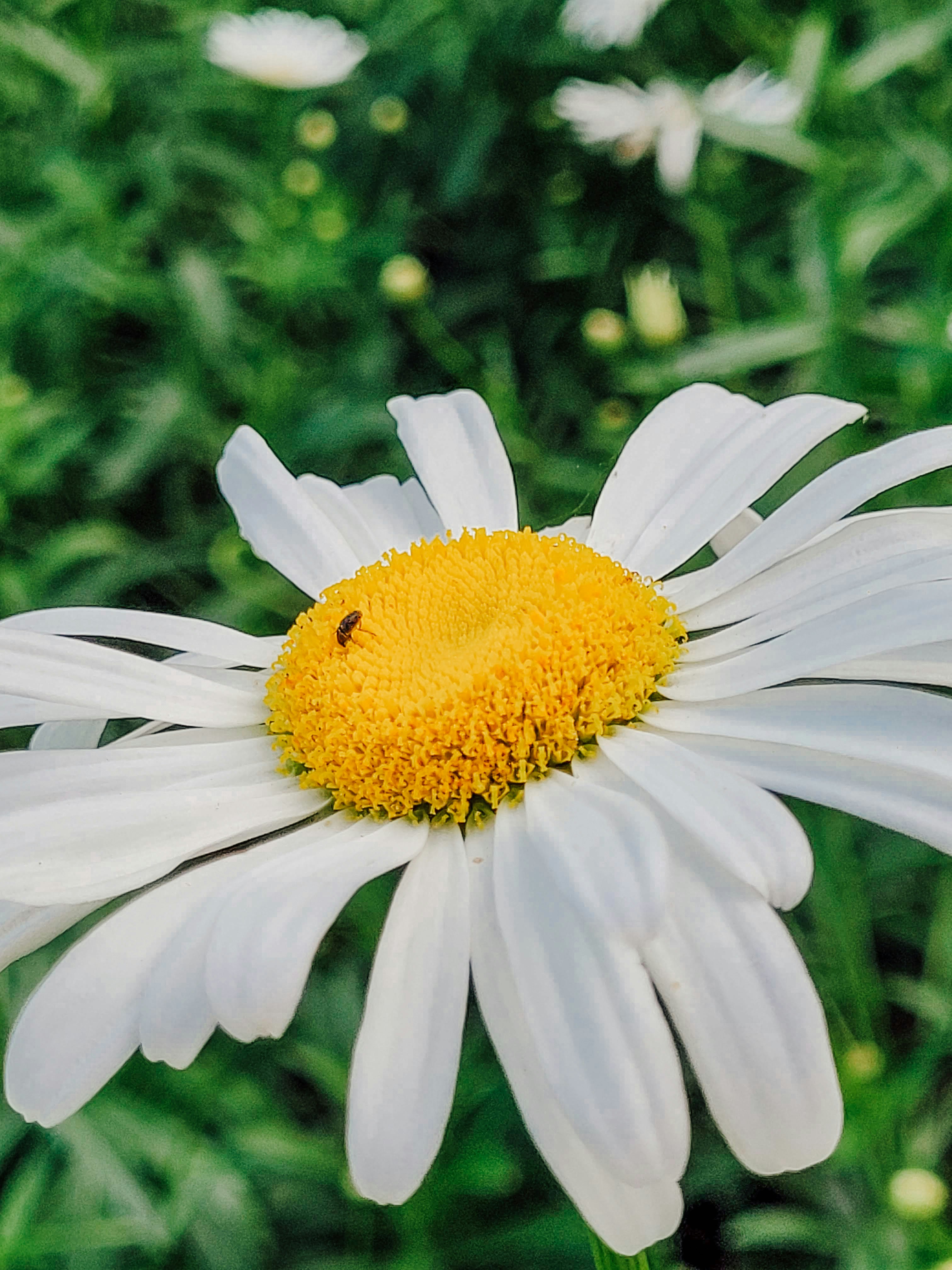 Photo by claitonconto