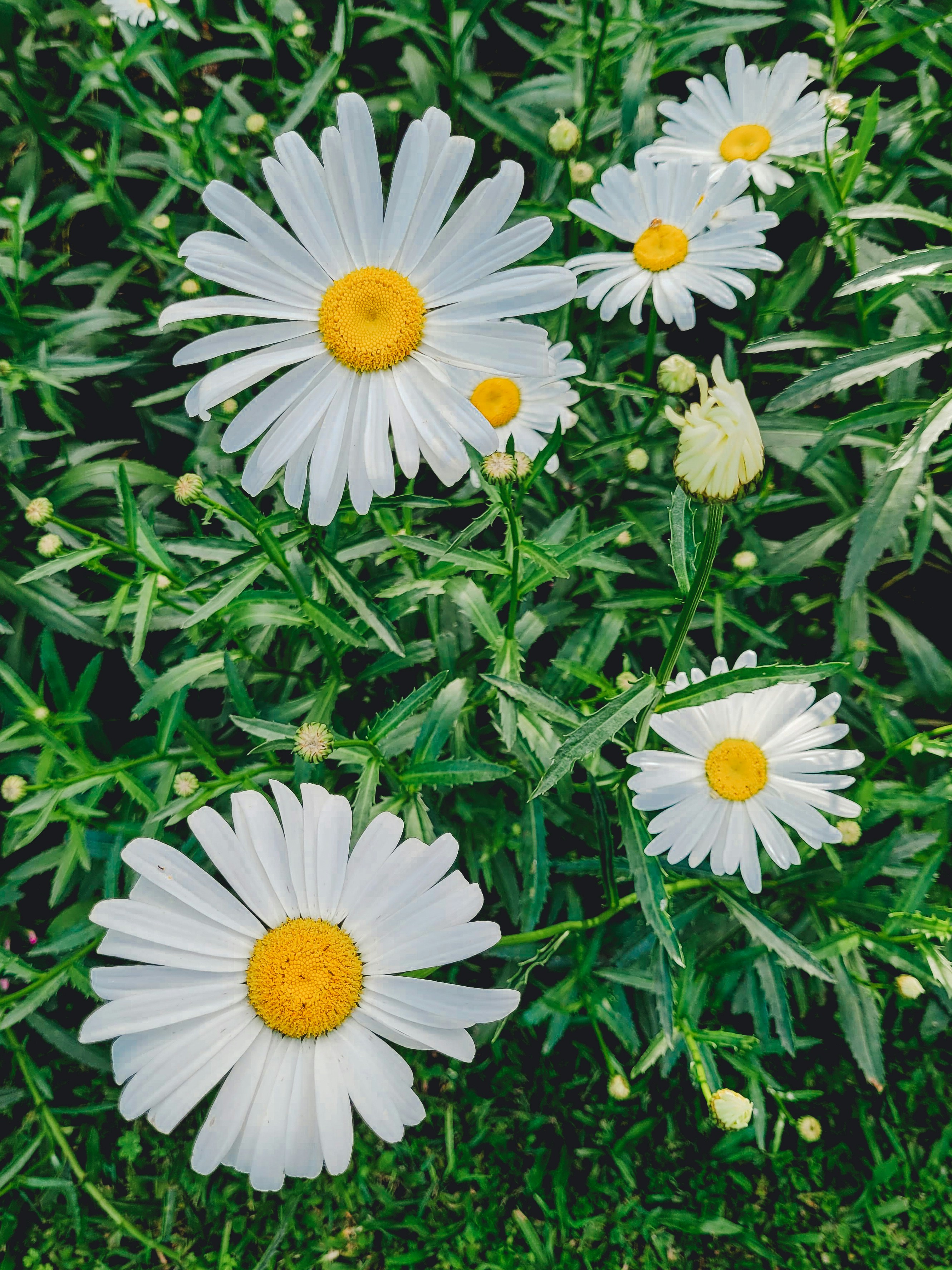 Photo by claitonconto