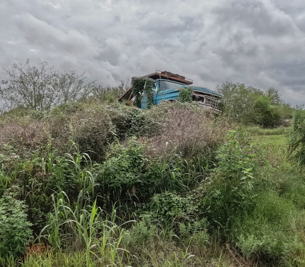 a blue bus sitting on top of a lush green field