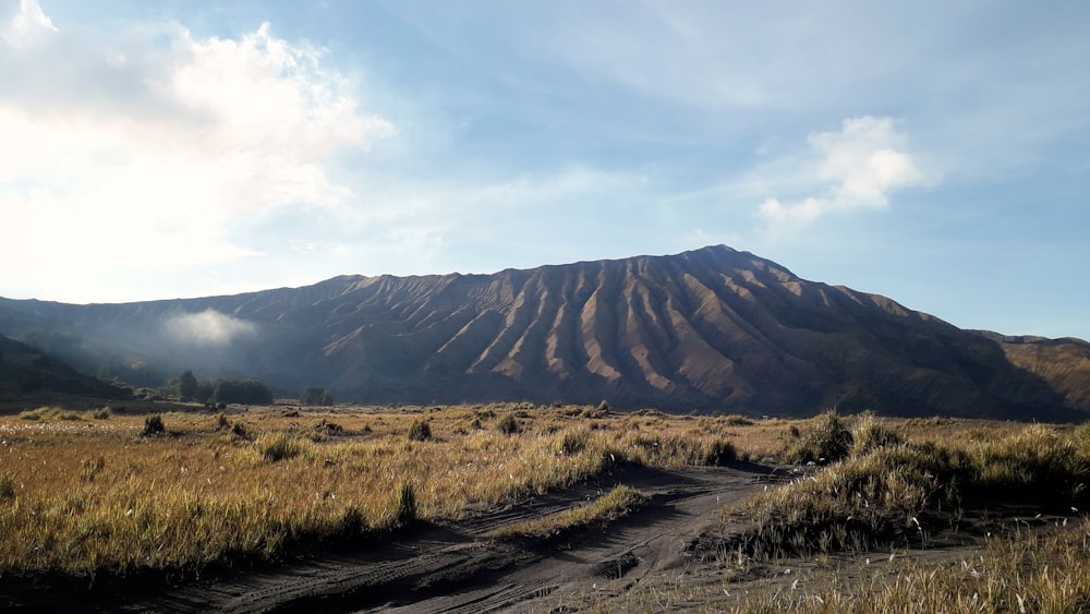 a dirt road in the middle of a field with a mountain in the background