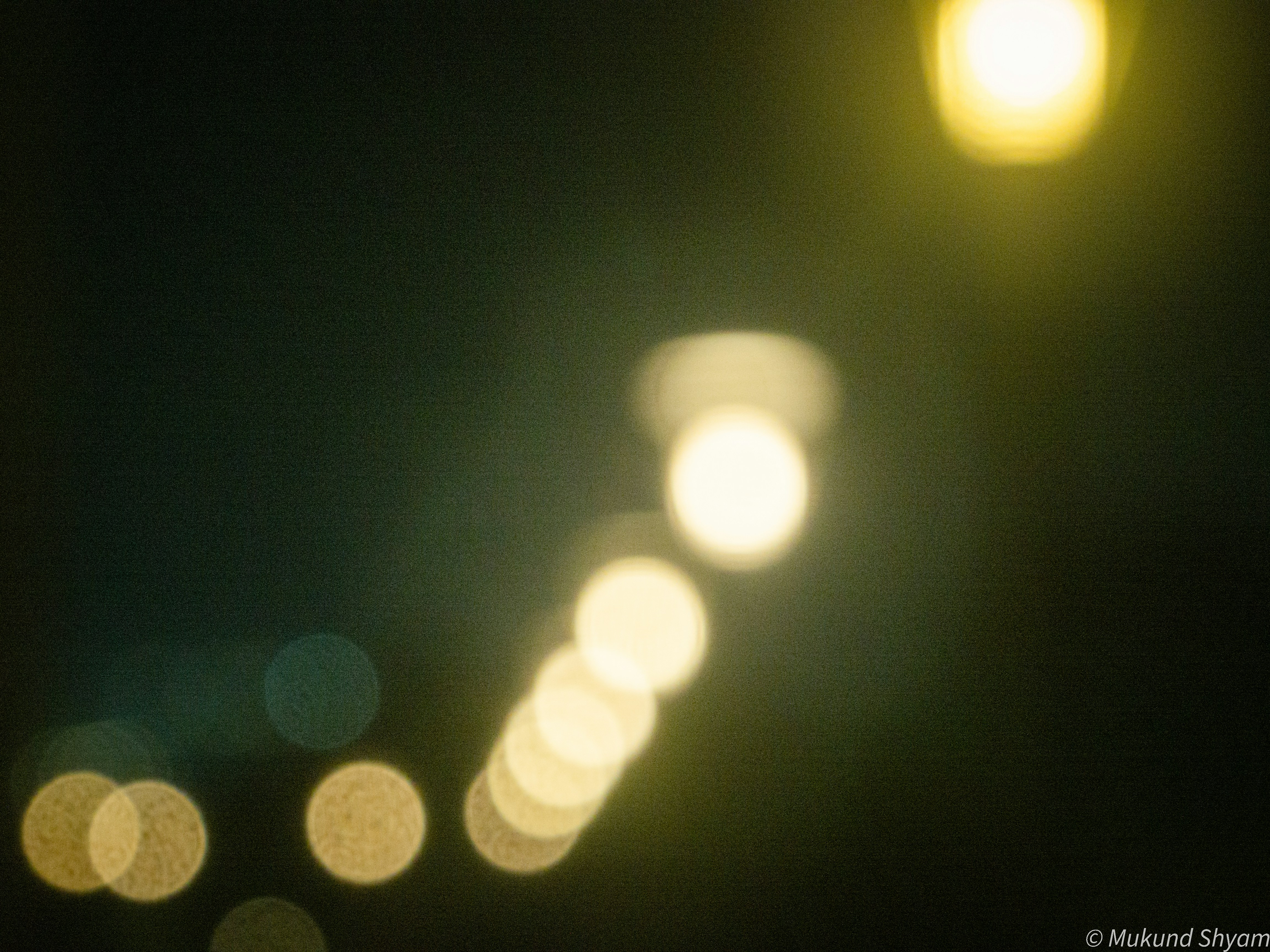 Photo by kindaamateur