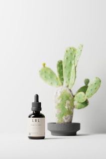 A small dark dropper bottle labeled 'LBL Cosmetic Label' is placed on a white surface. Behind it, a green cactus with multiple pads is situated in a gray pot. The background is minimalistic and light-colored, creating a clean and serene atmosphere.