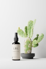 A dark spray bottle with a beige label sits on a clean surface. The label displays 'LBL Cosmetic Label.' Behind the bottle, there is a small cactus plant with green pads and a few spines, placed in a simple gray pot.