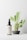 A dark spray bottle with a beige label sits on a clean surface. The label displays 'LBL Cosmetic Label.' Behind the bottle, there is a small cactus plant with green pads and a few spines, placed in a simple gray pot.