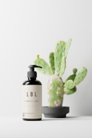 A cosmetic bottle with a pump is placed on a surface next to a small potted cactus. The bottle has a label with 'LBL Cosmetic Label' printed on it. The cactus is in a modern, minimalistic pot.