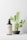 A cosmetic bottle with a pump is placed on a surface next to a small potted cactus. The bottle has a label with 'LBL Cosmetic Label' printed on it. The cactus is in a modern, minimalistic pot.