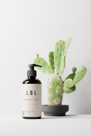 A cosmetic bottle with a pump is placed on a surface next to a small potted cactus. The bottle has a label with 'LBL Cosmetic Label' printed on it. The cactus is in a modern, minimalistic pot.