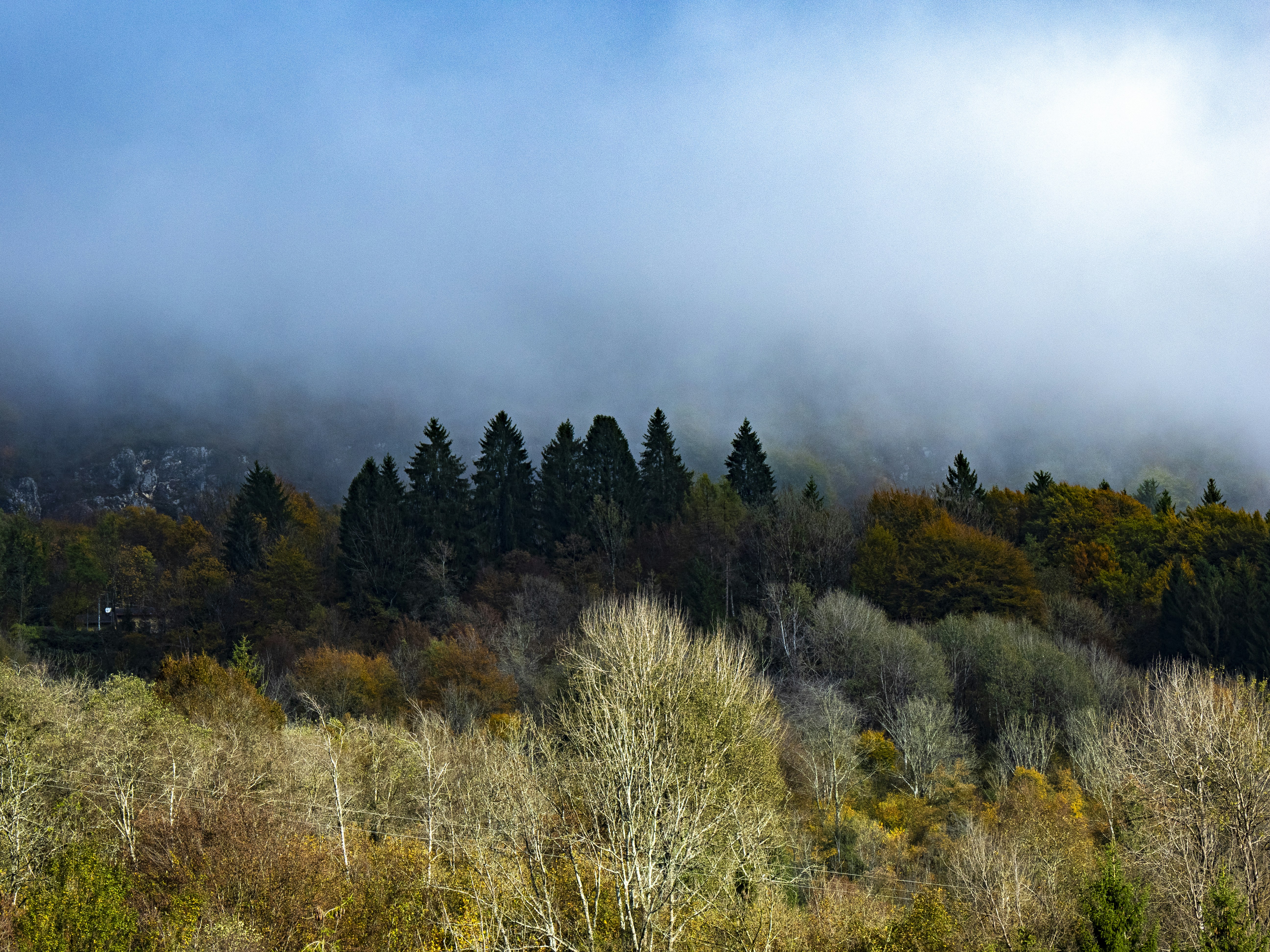 Photo by gopitri_prem