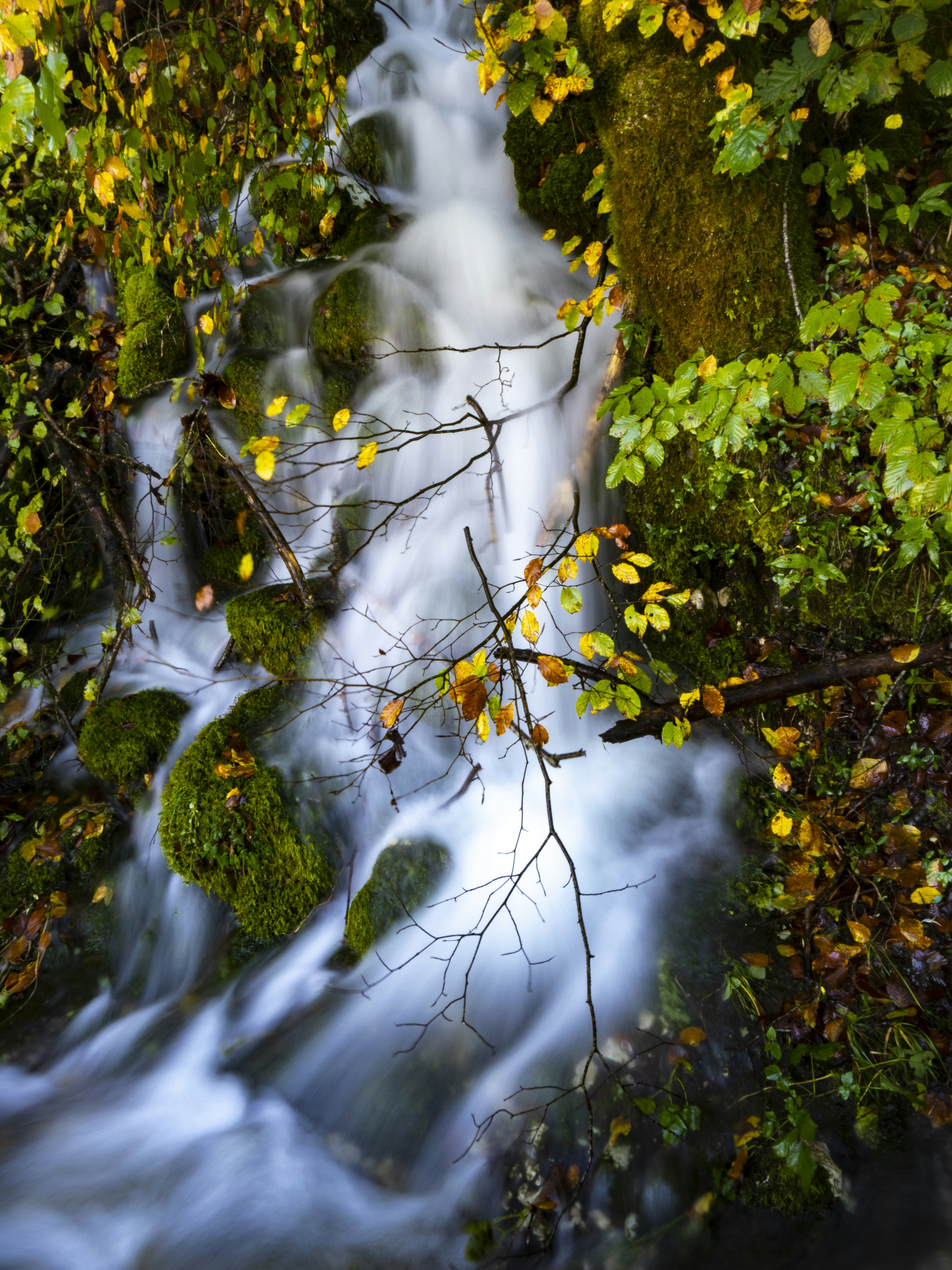 Photo by gopitri_prem