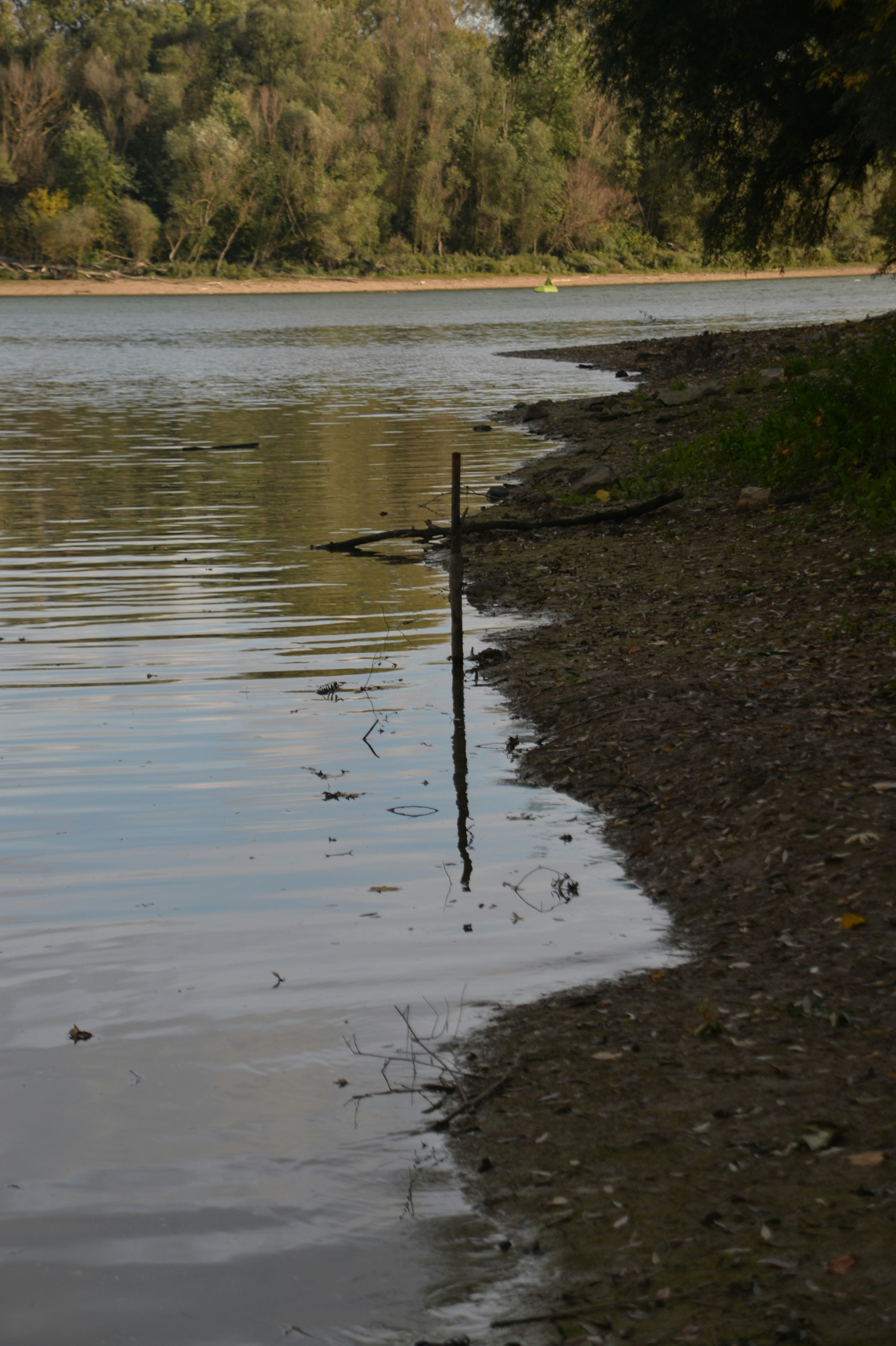 Photo by baliko_andras