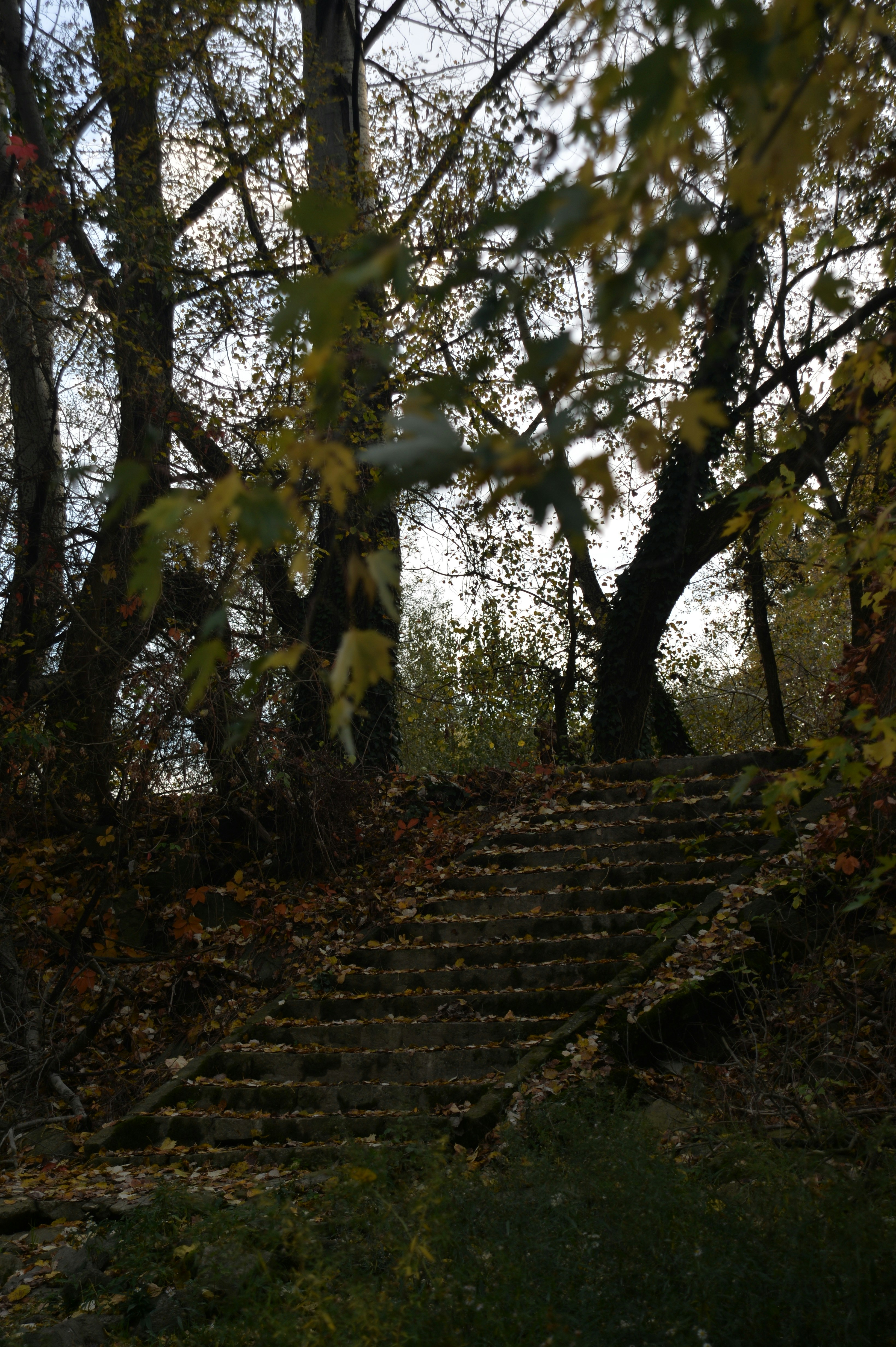 Photo by baliko_andras