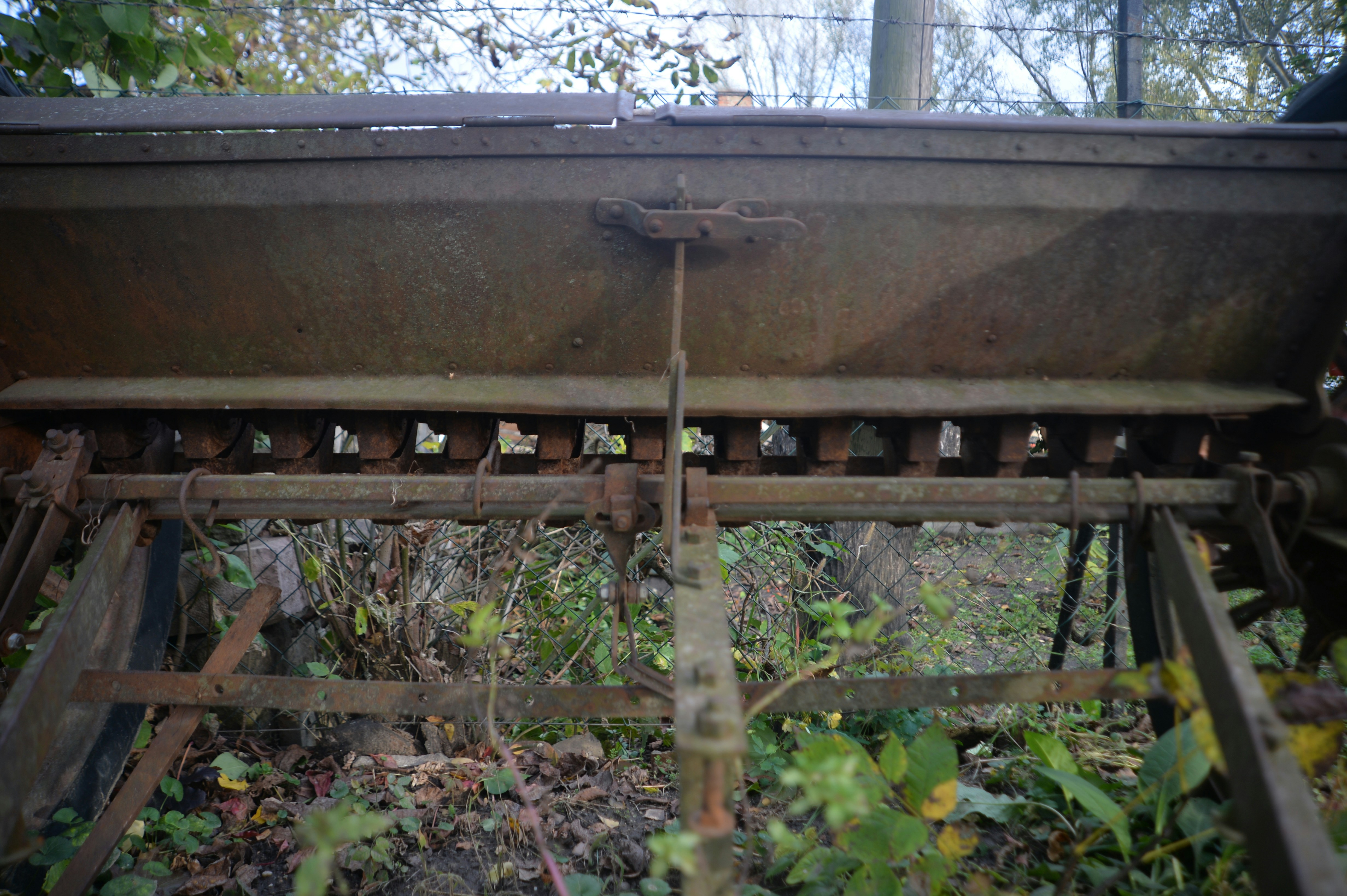 Photo by baliko_andras