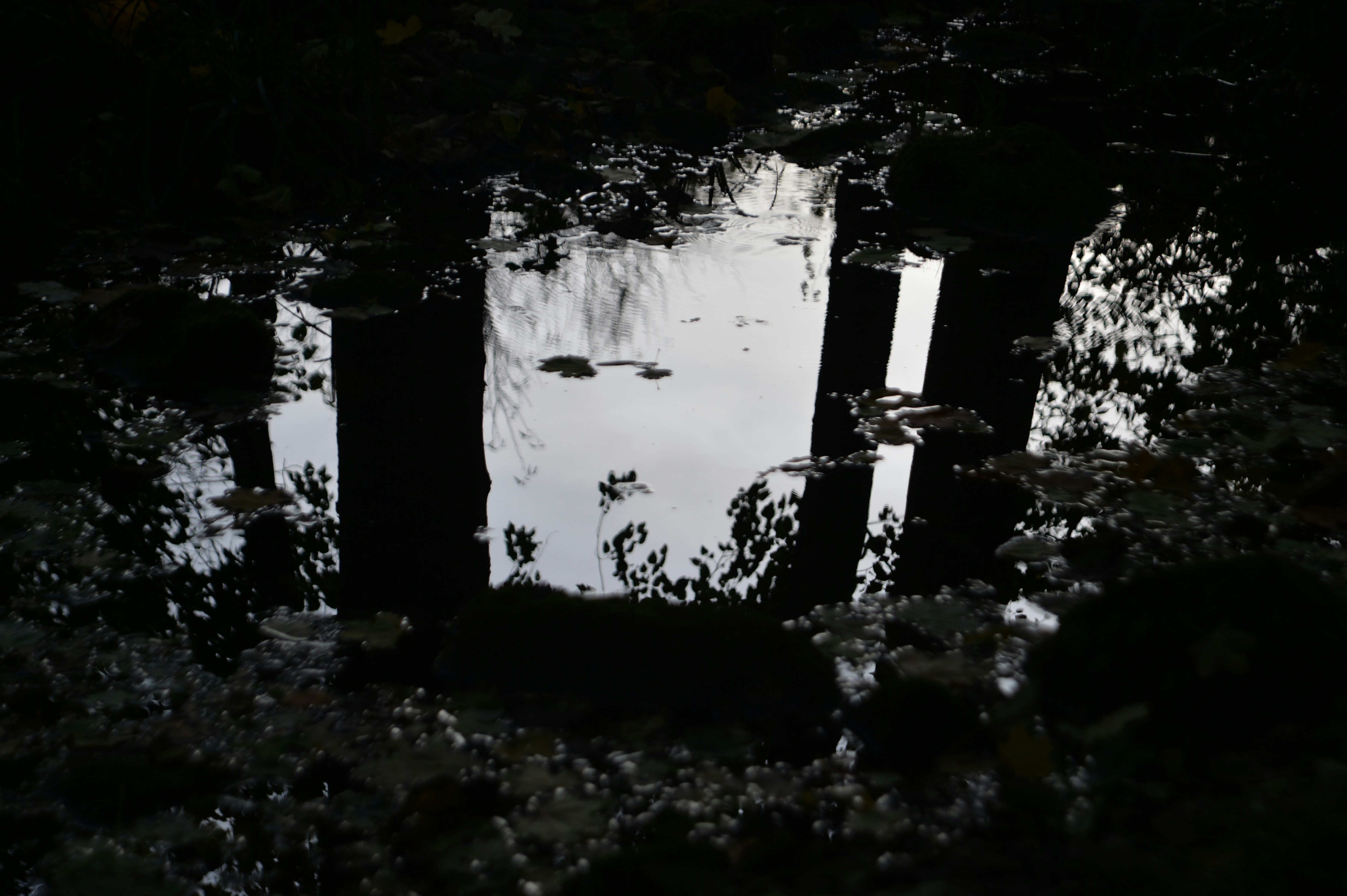 Photo by baliko_andras